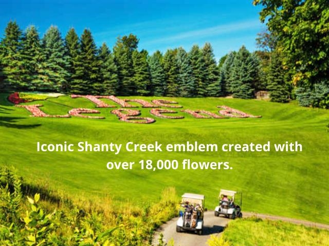 Homes for sale in Bellaire, MI | 4826 N Crossover Dr, Bellaire, MI 49615 | MLS# 80058143