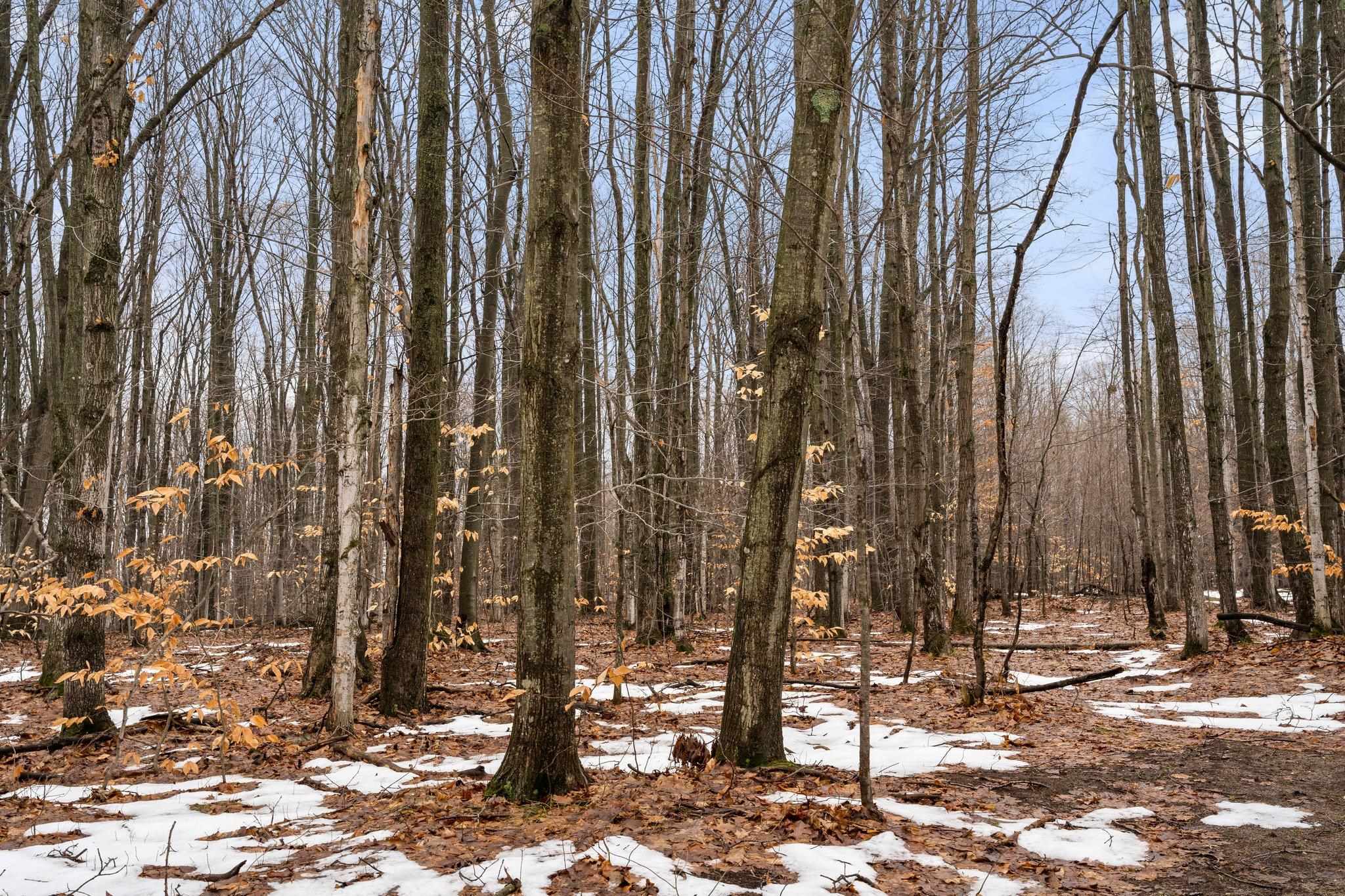 Homes for sale in Interlochen, MI | V/L Parcel B Lamerson Ln, Interlochen, MI 49643 | MLS# 80058571