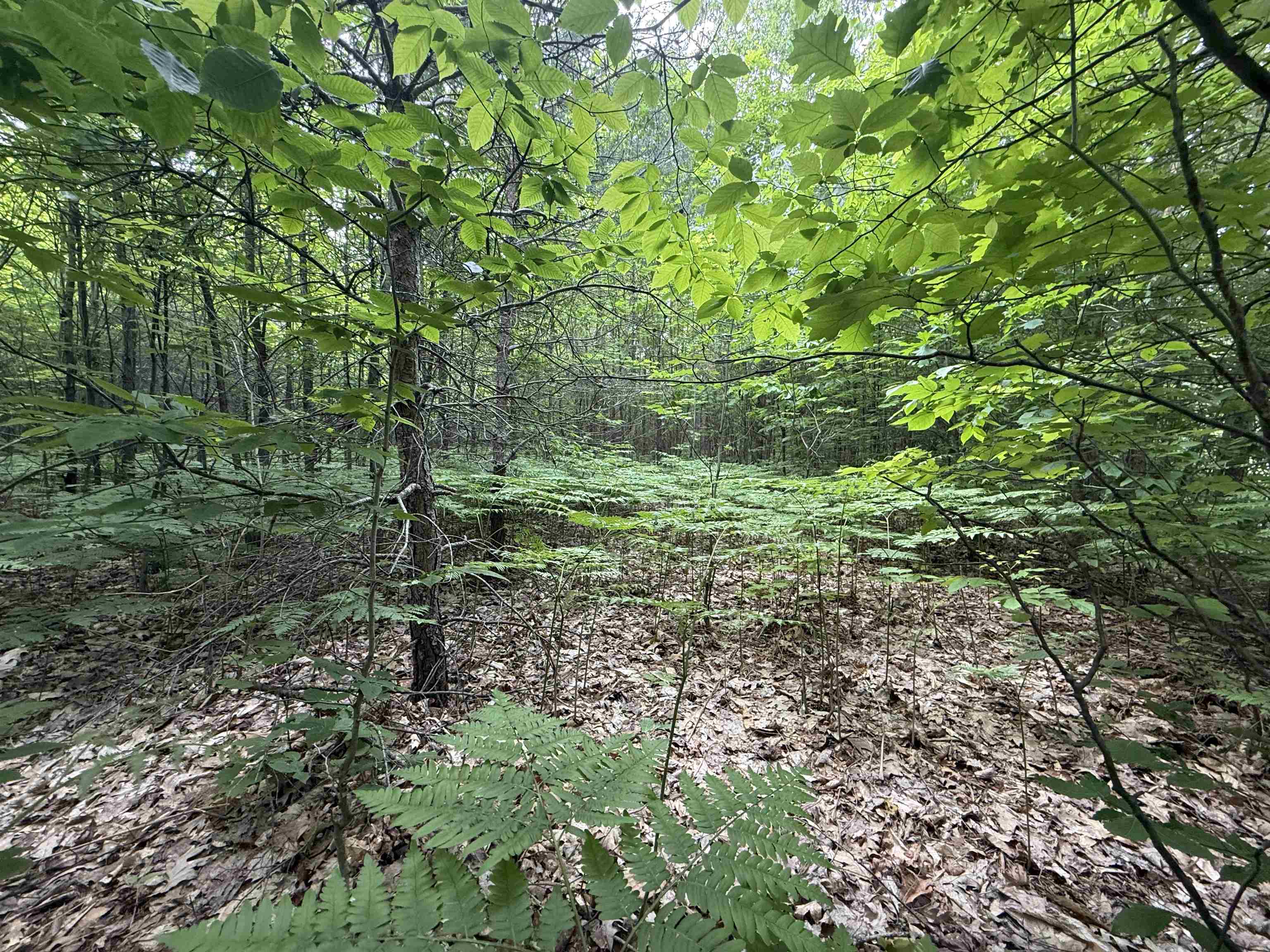 Homes for sale in Interlochen, MI | V/l Parcel B Lamerson Ln, Interlochen, MI 49643 | MLS# 80058571