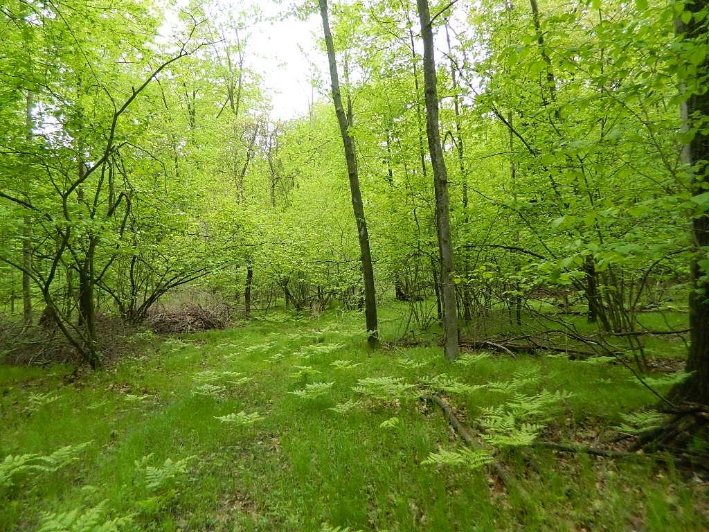 Homes for sale in Remus, MI | 5375 W Deerfield Rd, Remus, MI 49340 | MLS# 80059512