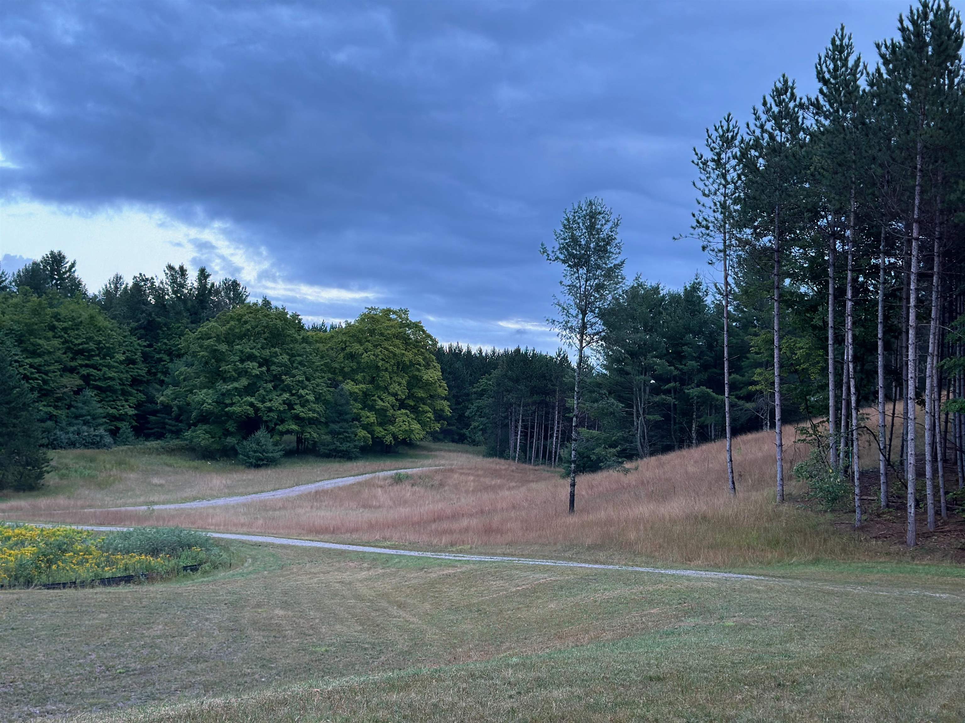 Homes for sale in Williamsburg, MI | 3383 Nw Dockery Rd, Williamsburg, MI 49690 | MLS# 80059600