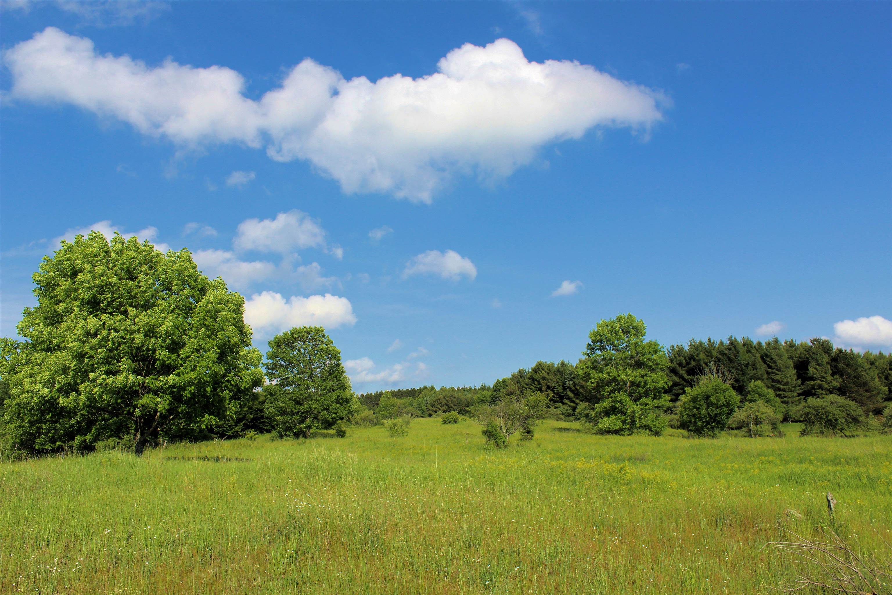 Homes for sale in Honor, MI | 7203 Valley, Honor, MI 49640 | MLS# 80059635