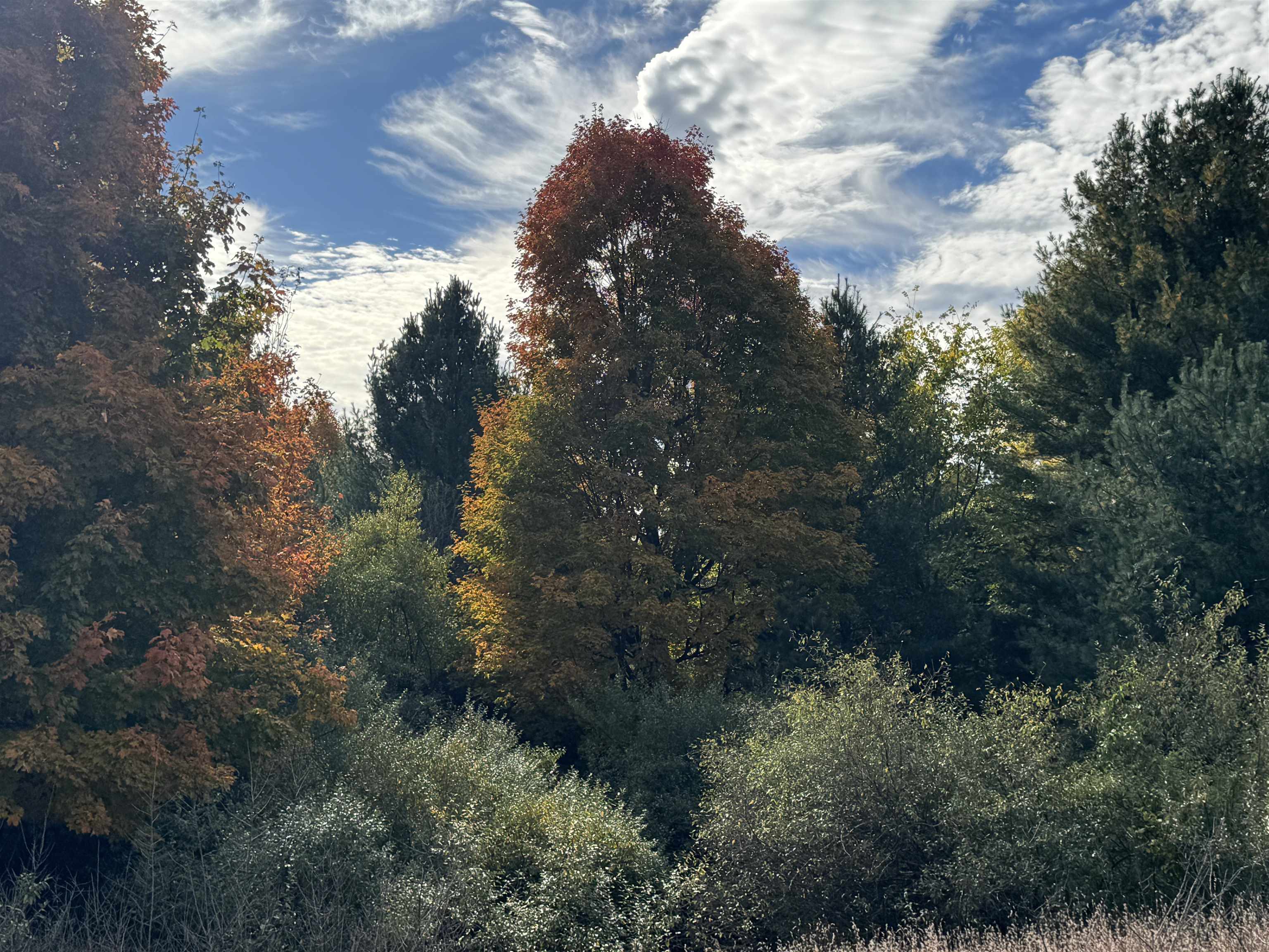 Homes for sale in Traverse City, MI | 16 Acres January Dr, Traverse City, MI 49684 | MLS# 80059803