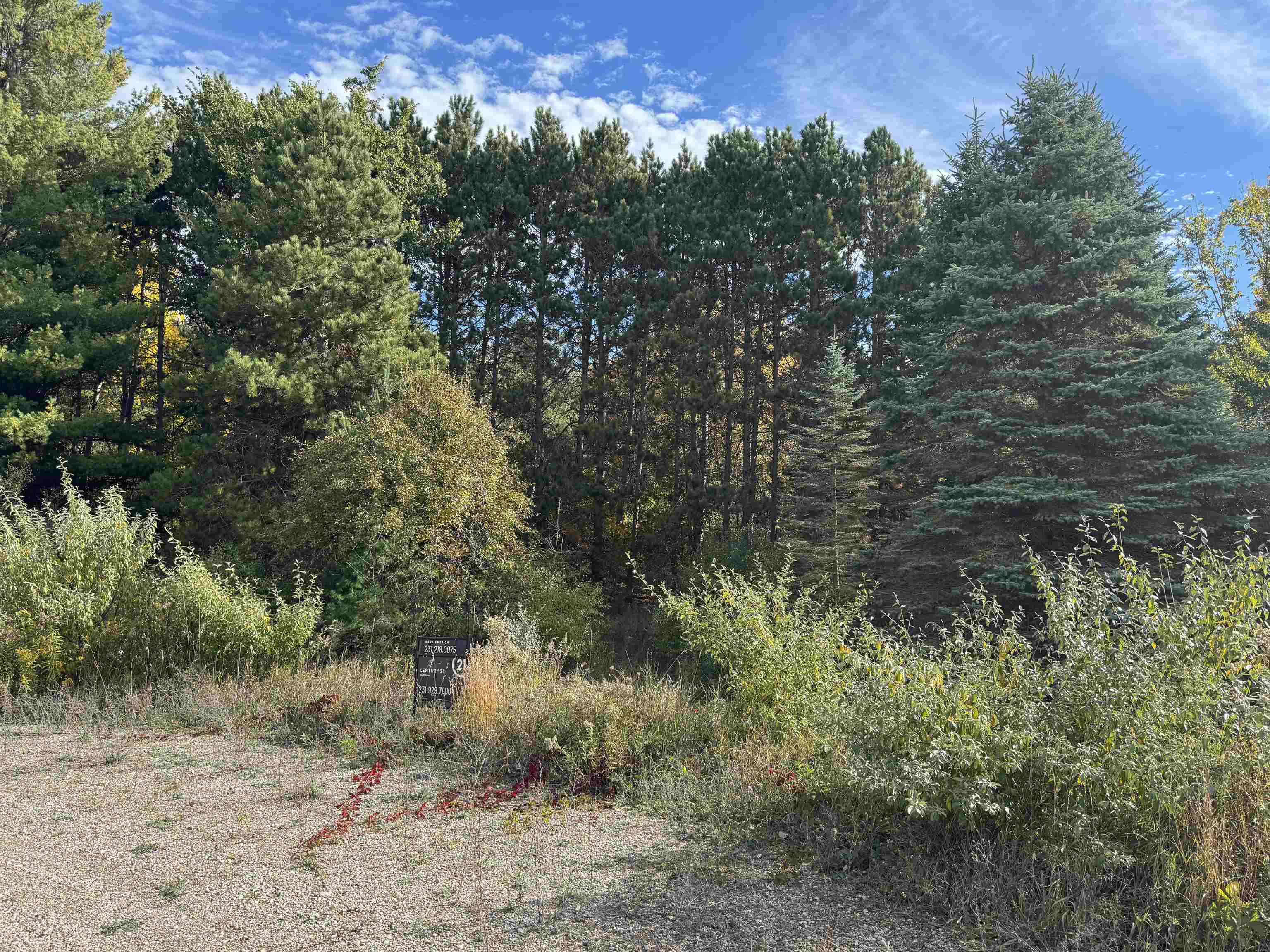 Homes for sale in Traverse City, MI | 16 Acres January Dr, Traverse City, MI 49684 | MLS# 80059803