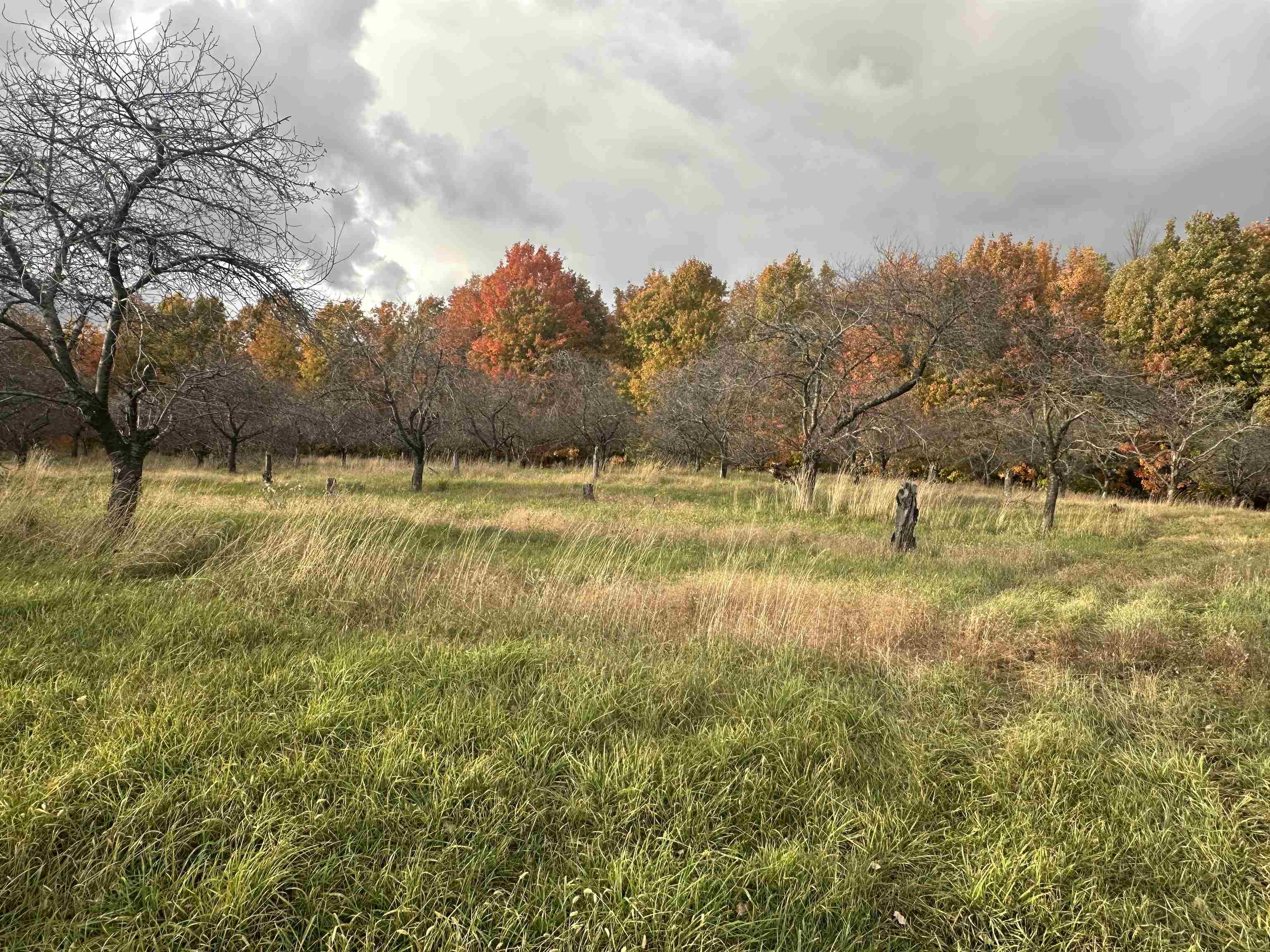 Homes for sale in Glen Arbor, MI | Parcel 8 Karnes Rd, Glen Arbor, MI 49636 | MLS# 80060401