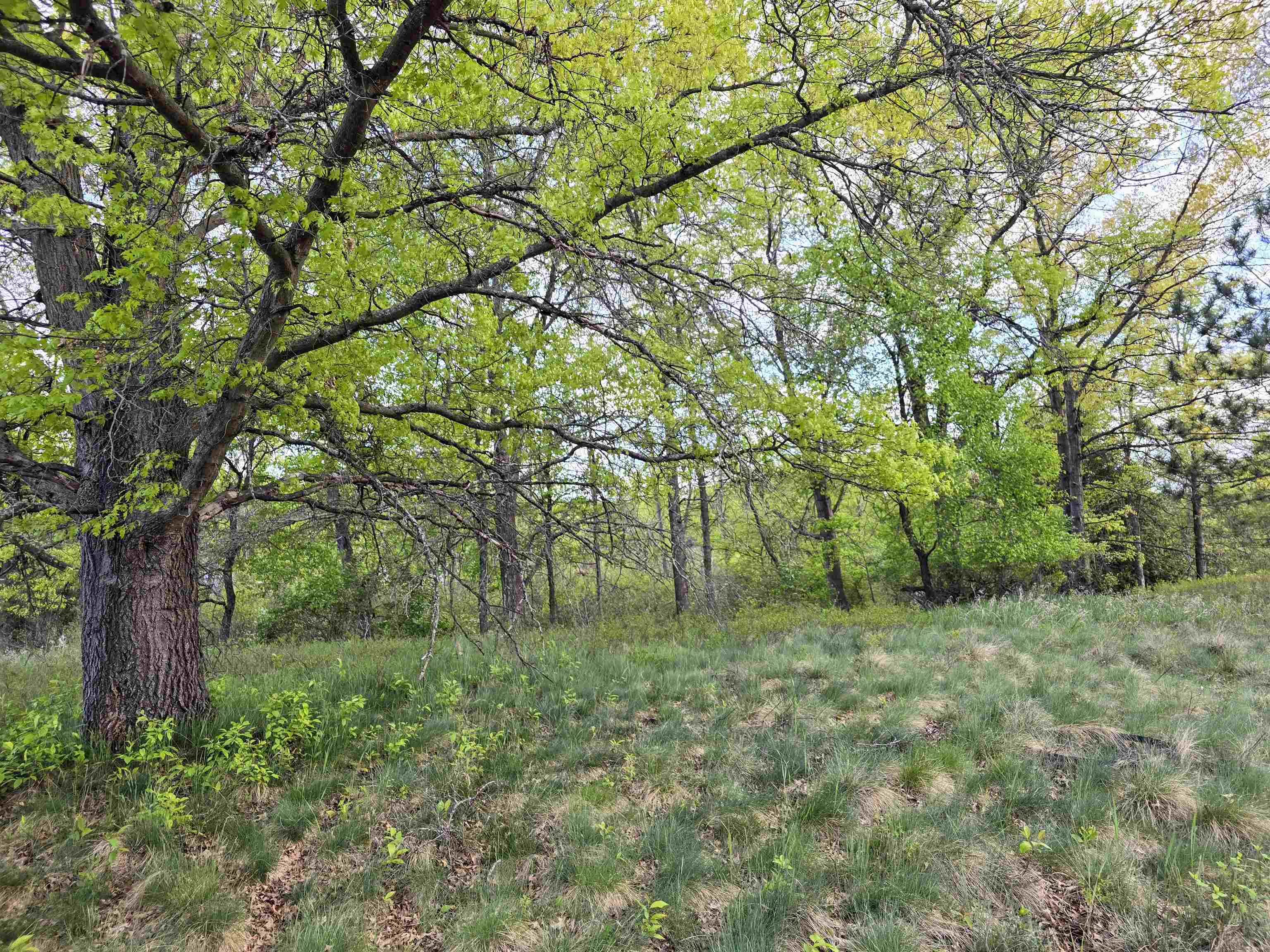 Homes for sale in Evart, MI | Cedar And 12th St, Evart, MI 49631 | MLS# 80060425