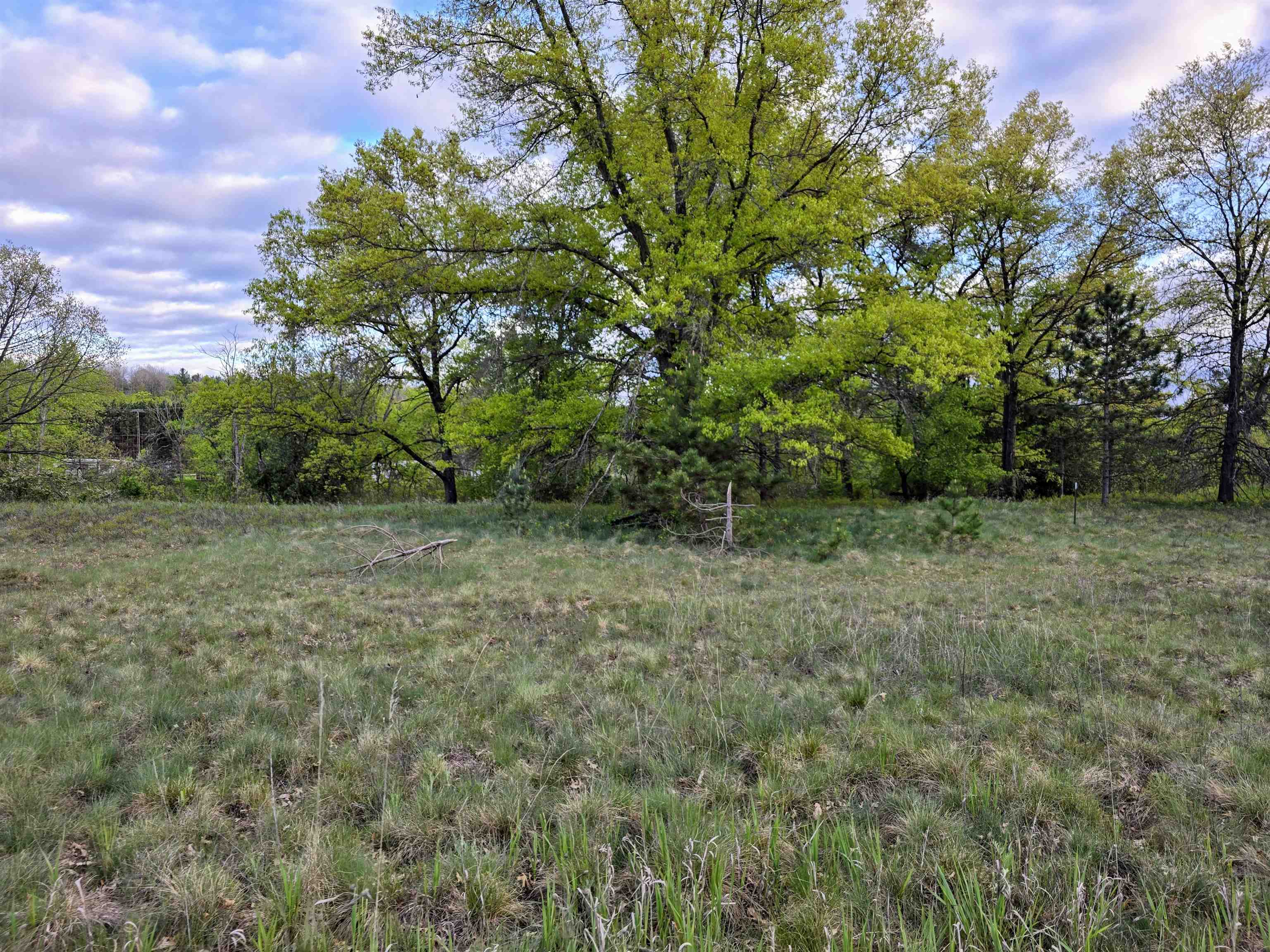 Homes for sale in Evart, MI | Cedar And 12Th St, Evart, MI 49631 | MLS# 80060425