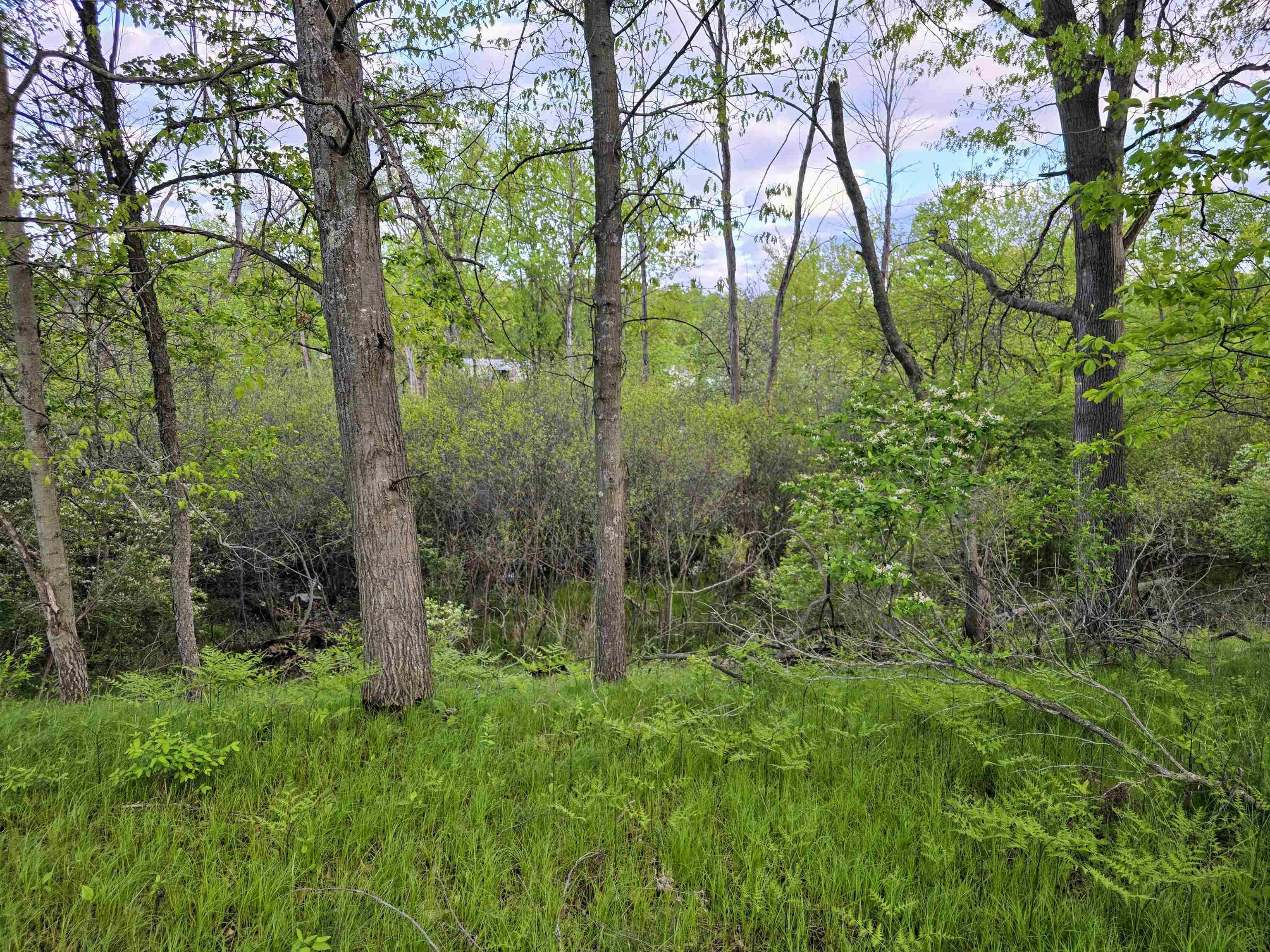 Homes for sale in Evart, MI | Cedar And 12Th St, Evart, MI 49631 | MLS# 80060425