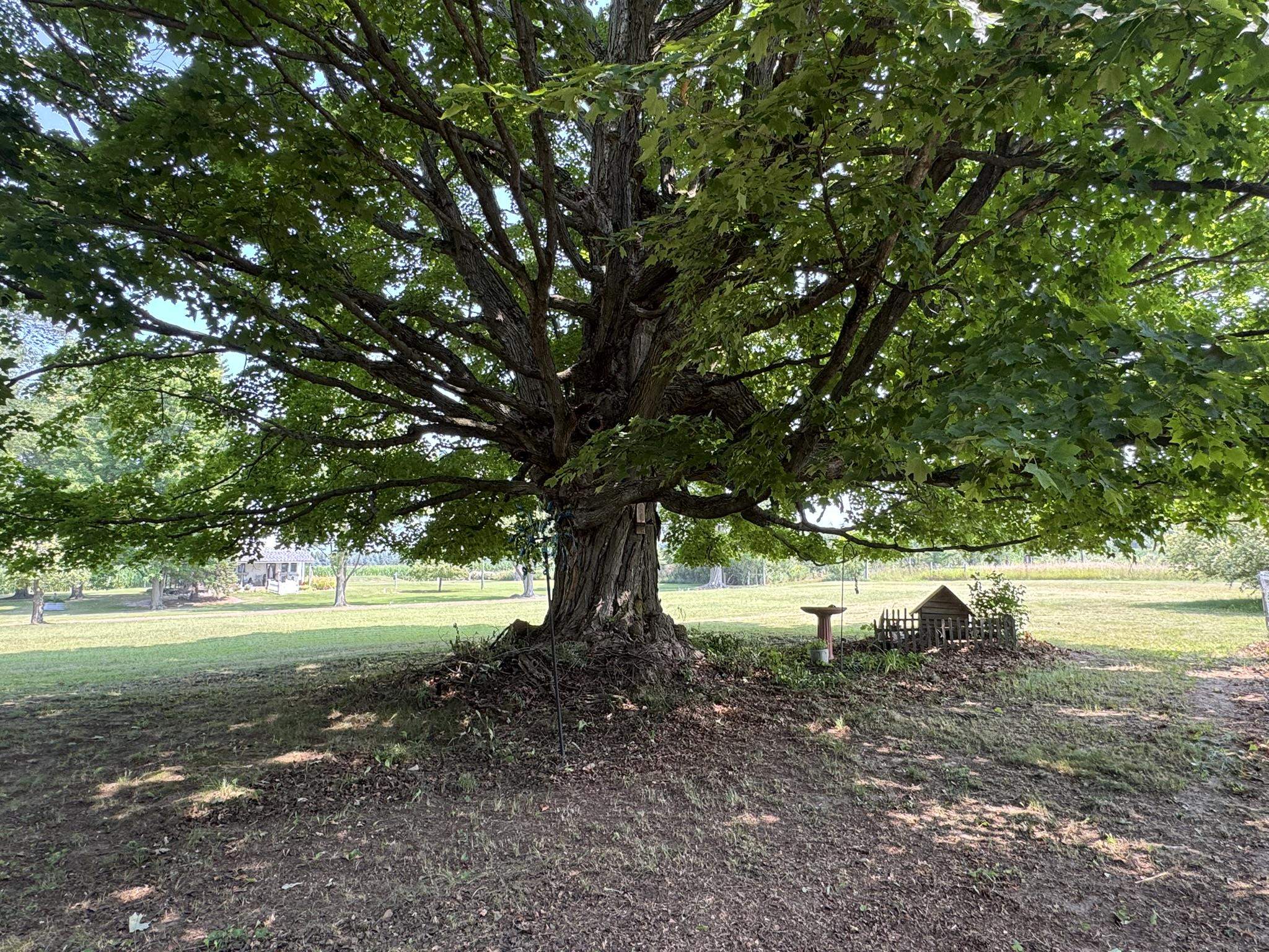 Homes for sale in Falmouth, MI | 6350 E Cadillac Rd, Falmouth, MI 49632 | MLS# 80060541