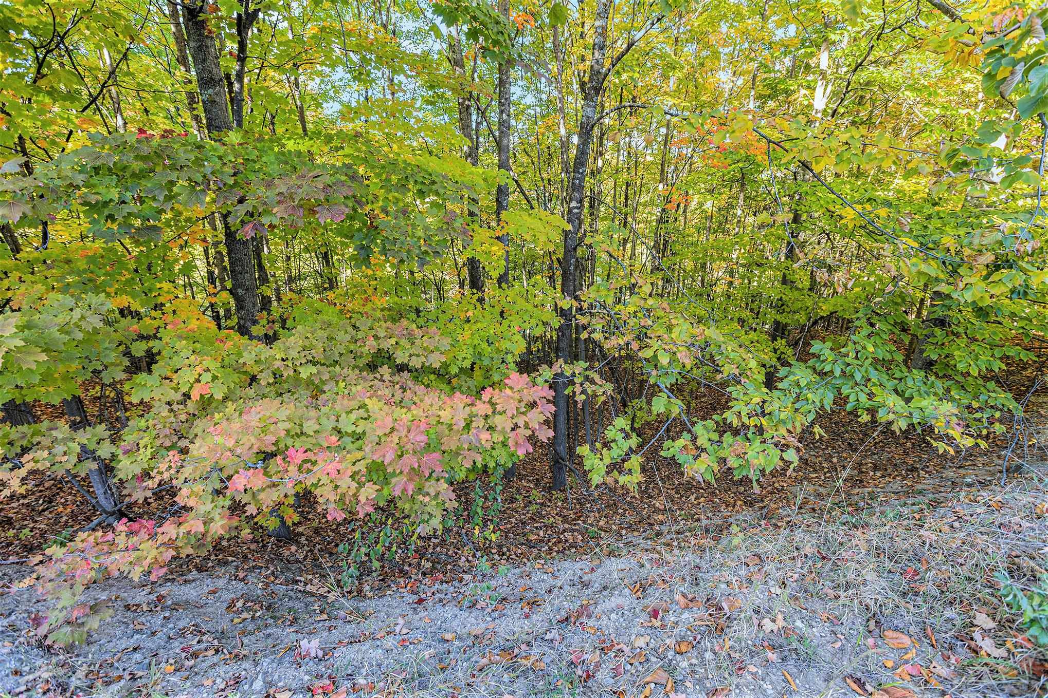 Homes for sale in Traverse City, MI | 4885 Grayhawk Blvd, Traverse City, MI 49684 | MLS# 80060576