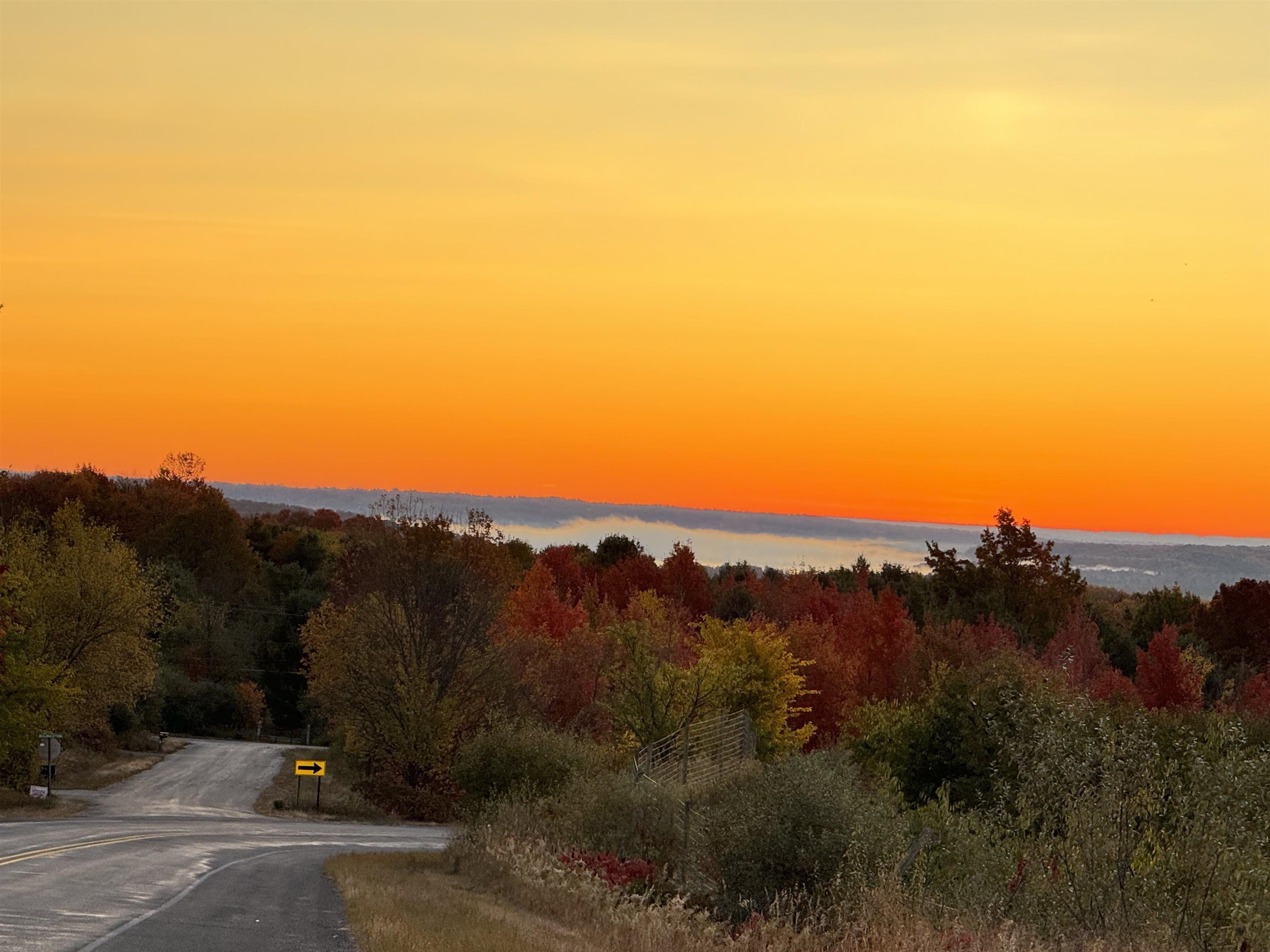 Homes for sale in Cedar, MI | Lot #2 E Bellinger Rd, Cedar, MI 49621 | MLS# 80060581