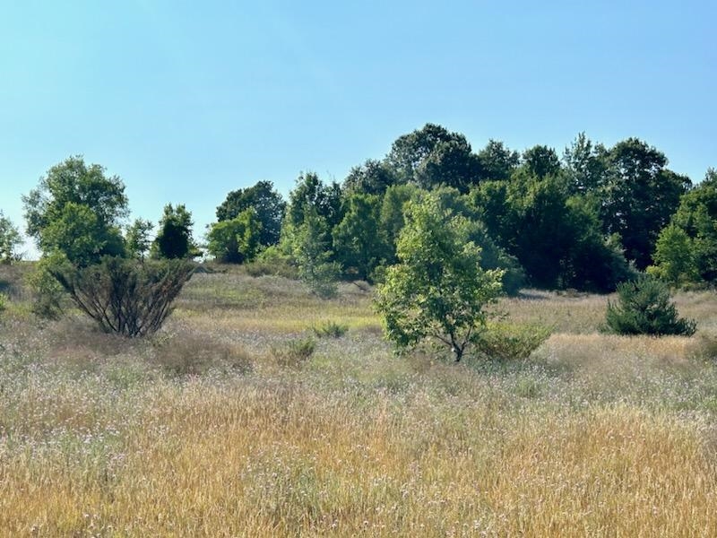 Homes for sale in Frankfort, MI | 00B Forrester Rd, Frankfort, MI 49635 | MLS# 80060734