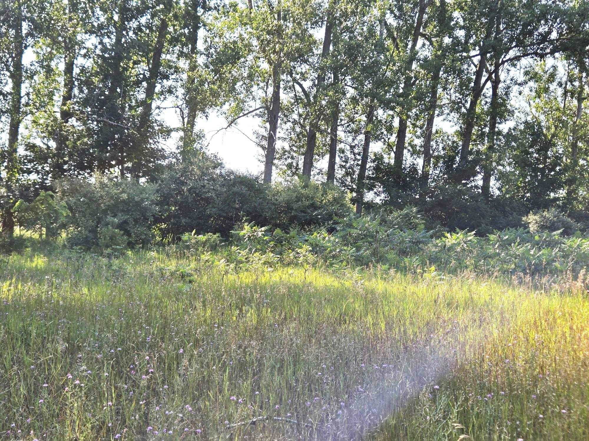 Homes for sale in Frankfort, MI | 00A Sliverville Rd, Frankfort, MI 49635 | MLS# 80060735