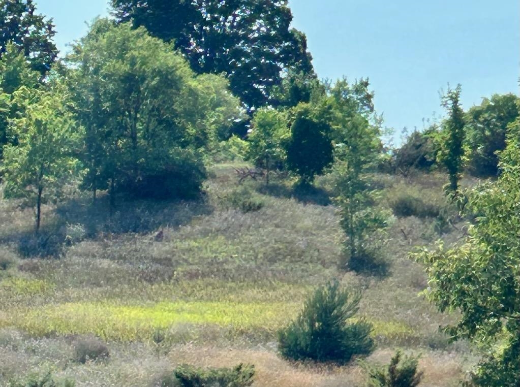 Homes for sale in Frankfort, MI | 00A Sliverville Rd, Frankfort, MI 49635 | MLS# 80060735