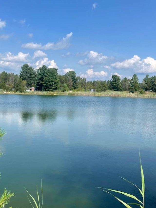 Homes for sale in East Tawas, MI | Vacant Aulerich Rd, East Tawas, MI 48730 | MLS# 80060778