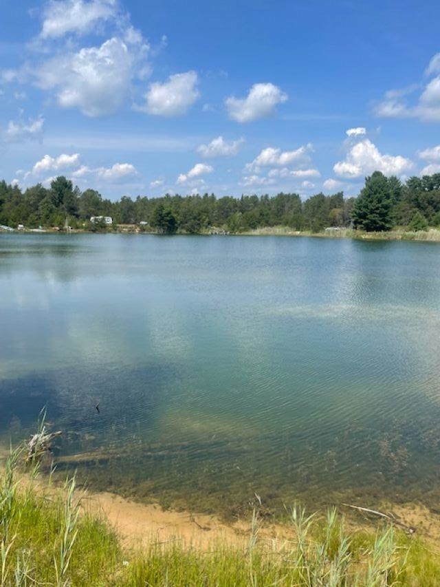 Homes for sale in East Tawas, MI | Vacant Aulerich Rd, East Tawas, MI 48730 | MLS# 80060778