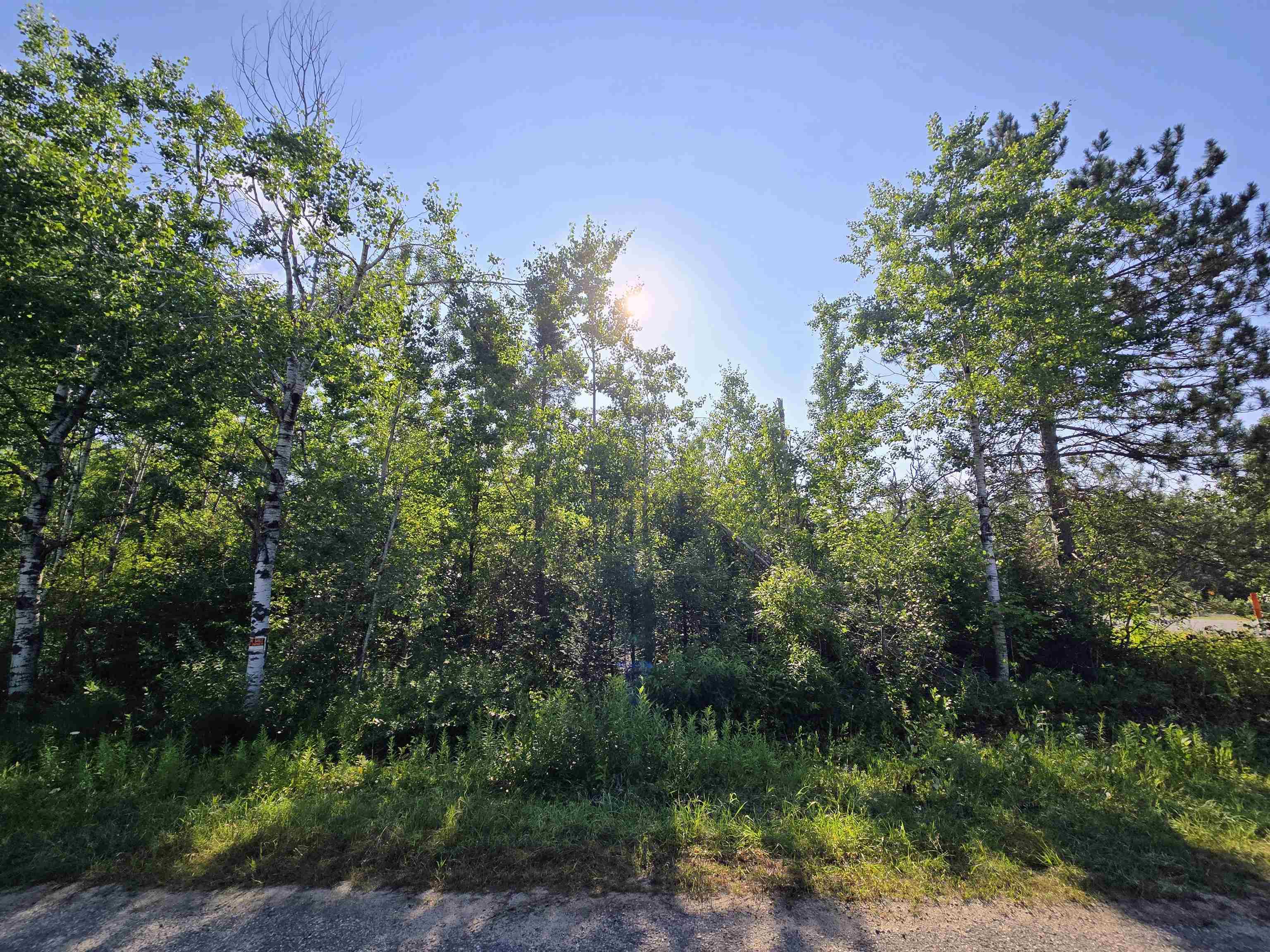 Homes for sale in Elmira, MI | 364 Pencil Lake Rd, Elmira, MI 49730 | MLS# 80060893