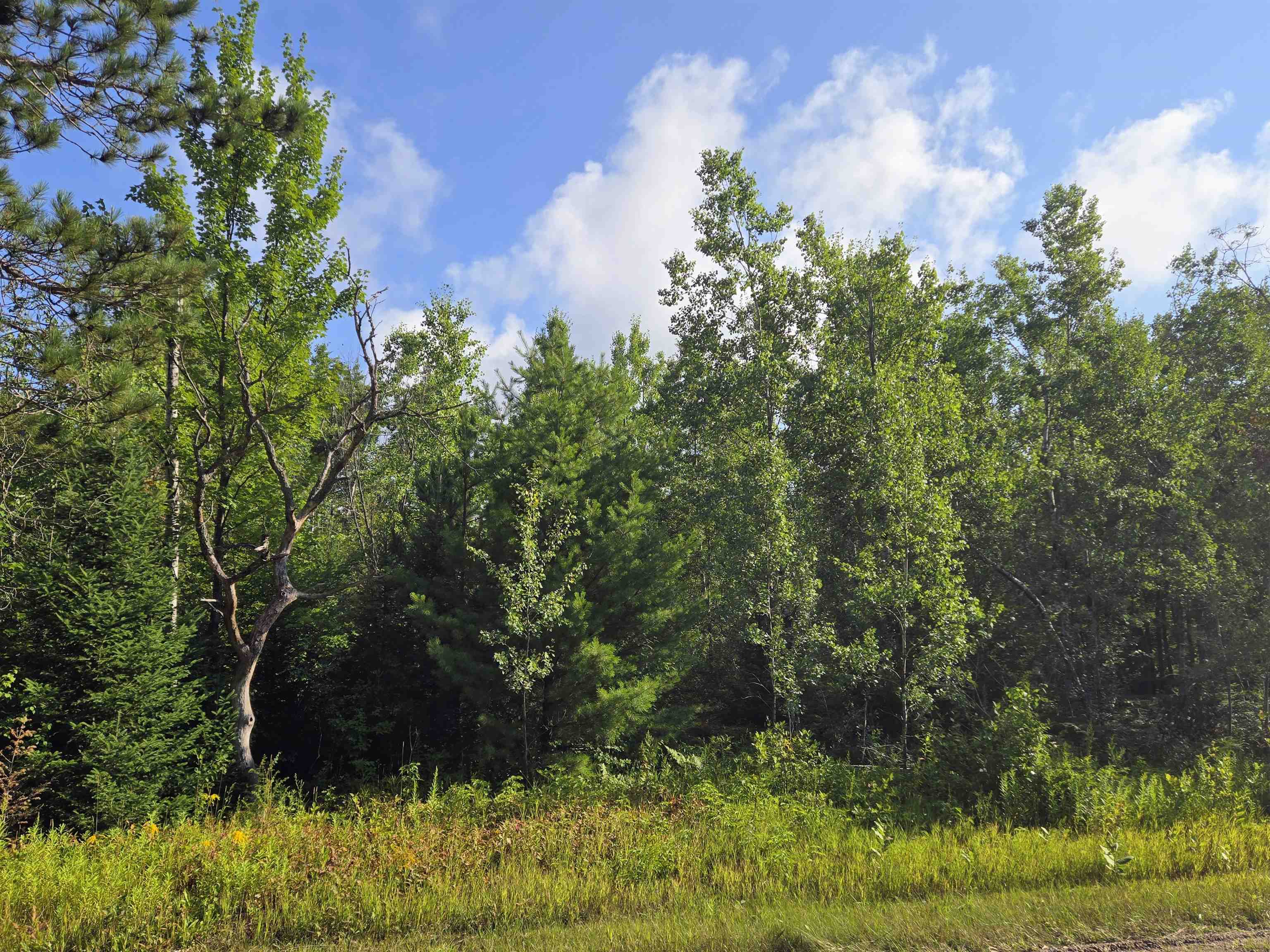 Homes for sale in Elmira, MI | 364 Pencil Lake Rd, Elmira, MI 49730 | MLS# 80060893