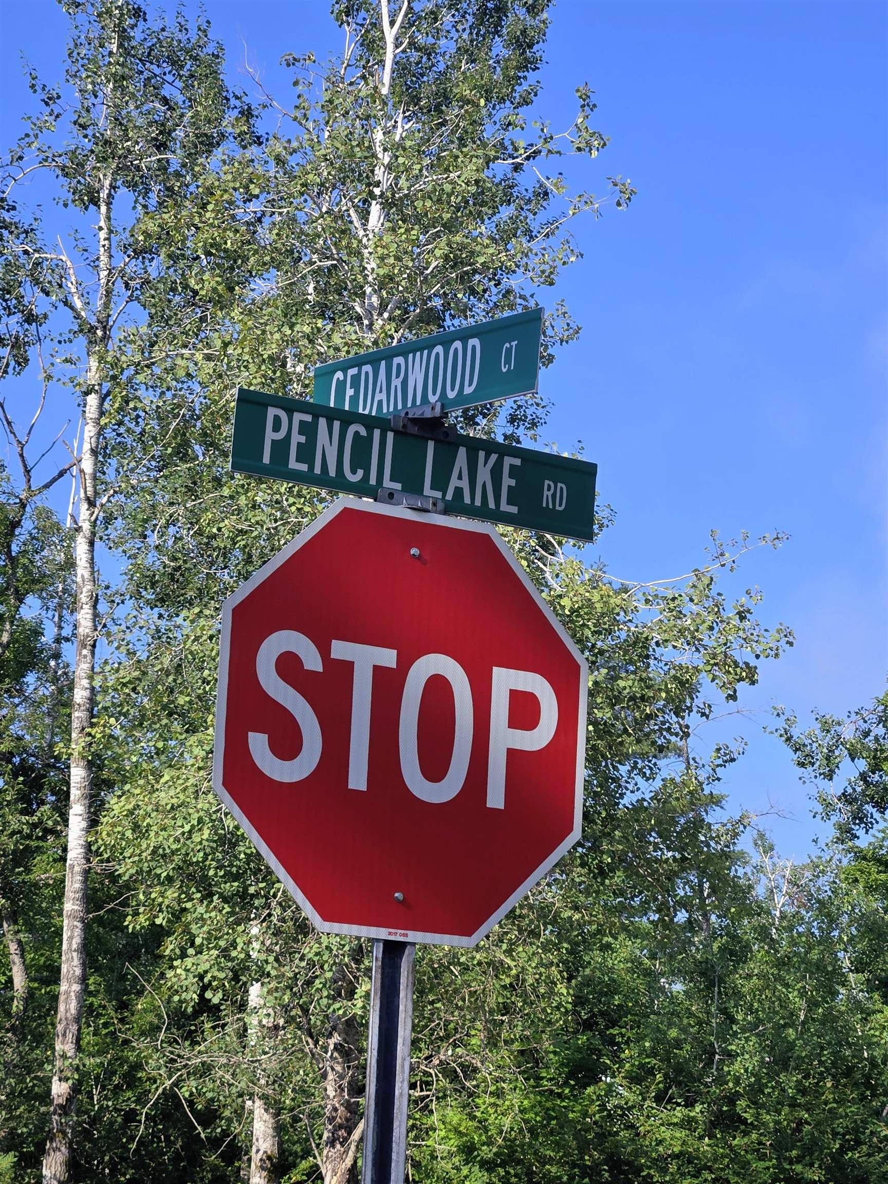 Homes for sale in Elmira, MI | 364 Pencil Lake Rd, Elmira, MI 49730 | MLS# 80060893