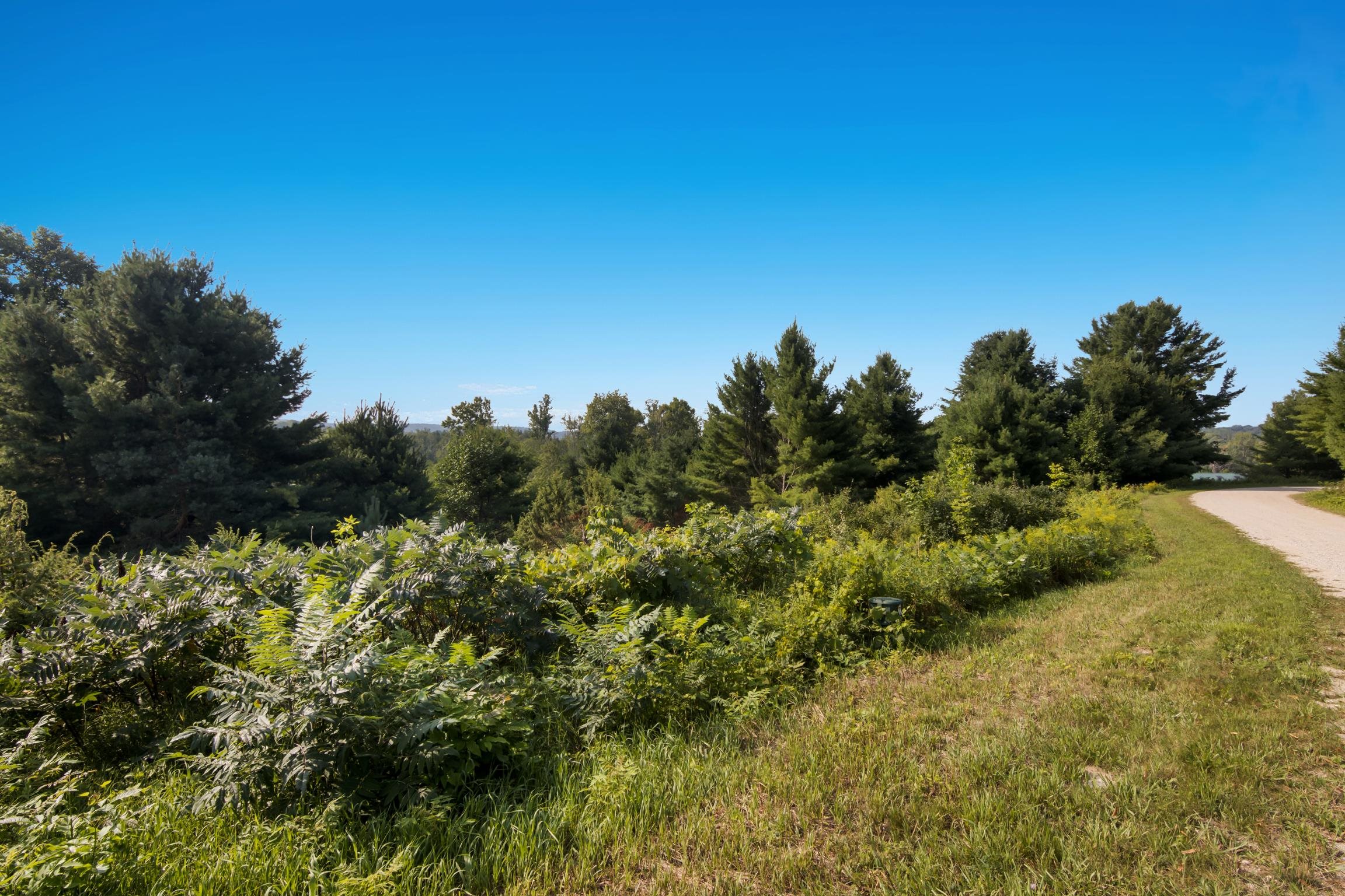 Homes for sale in Central Lake, MI | Tbd Iron Horse Trl, Central Lake, MI 49622 | MLS# 80060999