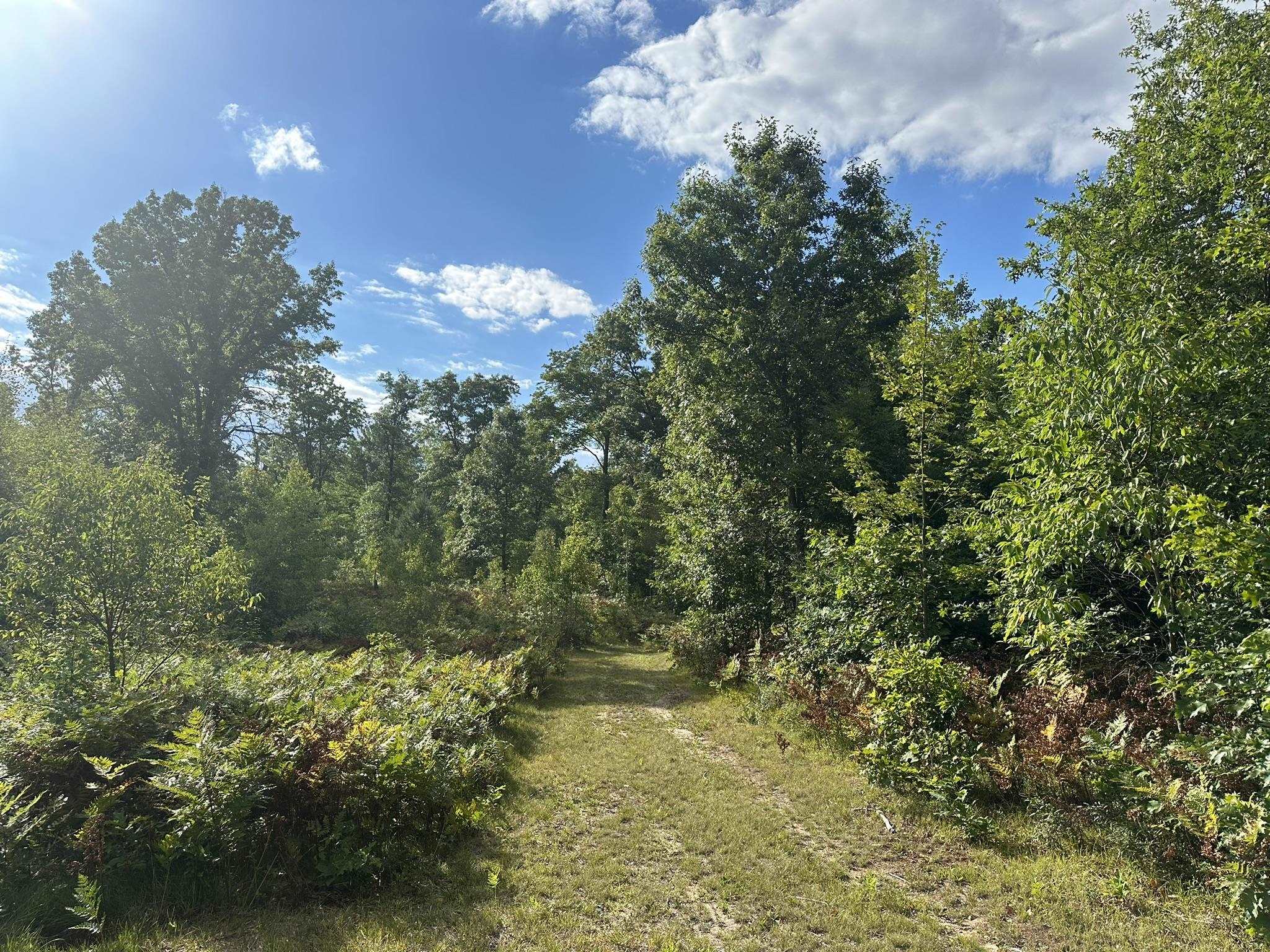 Homes for sale in Cadillac, MI | 5304 S Brown Rd, Cadillac, MI 49601 | MLS# 80061095