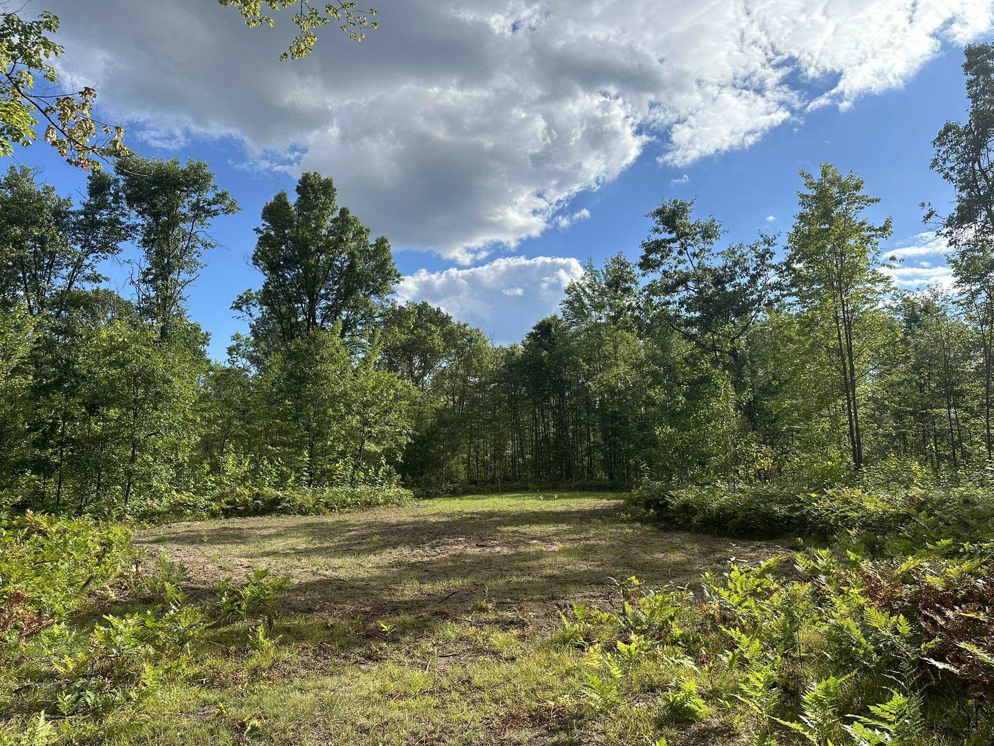 Homes for sale in Cadillac, MI | 5304 S Brown Rd, Cadillac, MI 49601 | MLS# 80061095