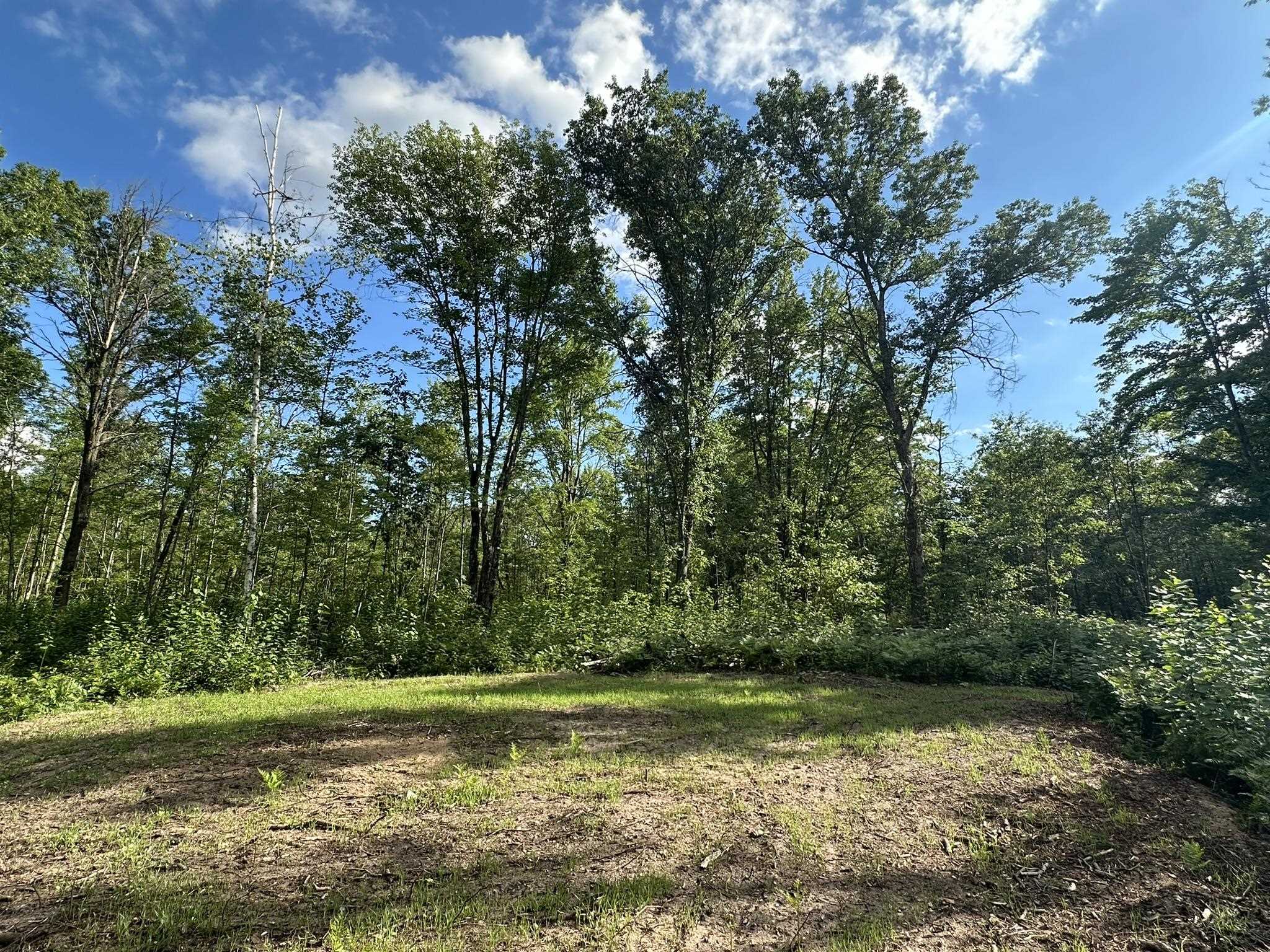 Homes for sale in Cadillac, MI | 5304 S Brown Rd, Cadillac, MI 49601 | MLS# 80061095