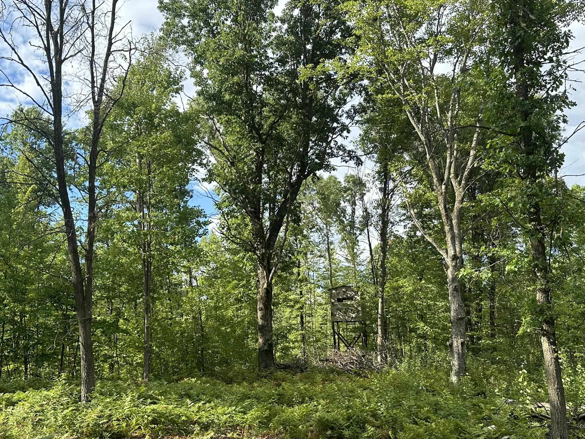 Homes for sale in Cadillac, MI | 5304 S Brown Rd, Cadillac, MI 49601 | MLS# 80061095