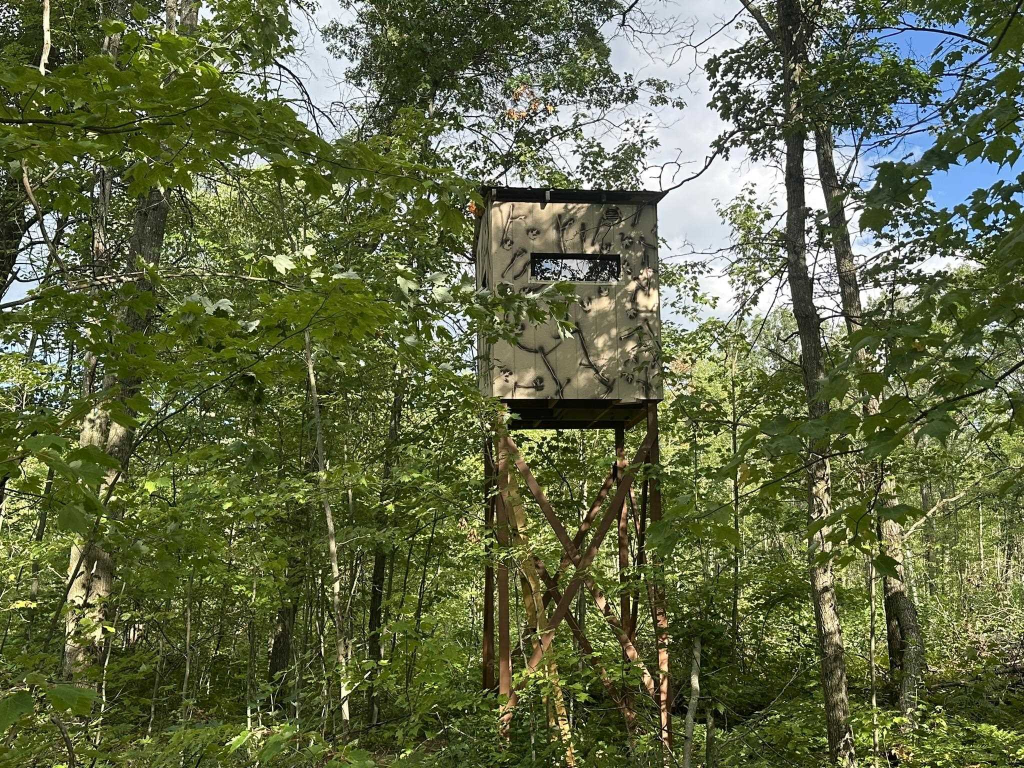 Homes for sale in Cadillac, MI | 5304 S Brown Rd, Cadillac, MI 49601 | MLS# 80061095