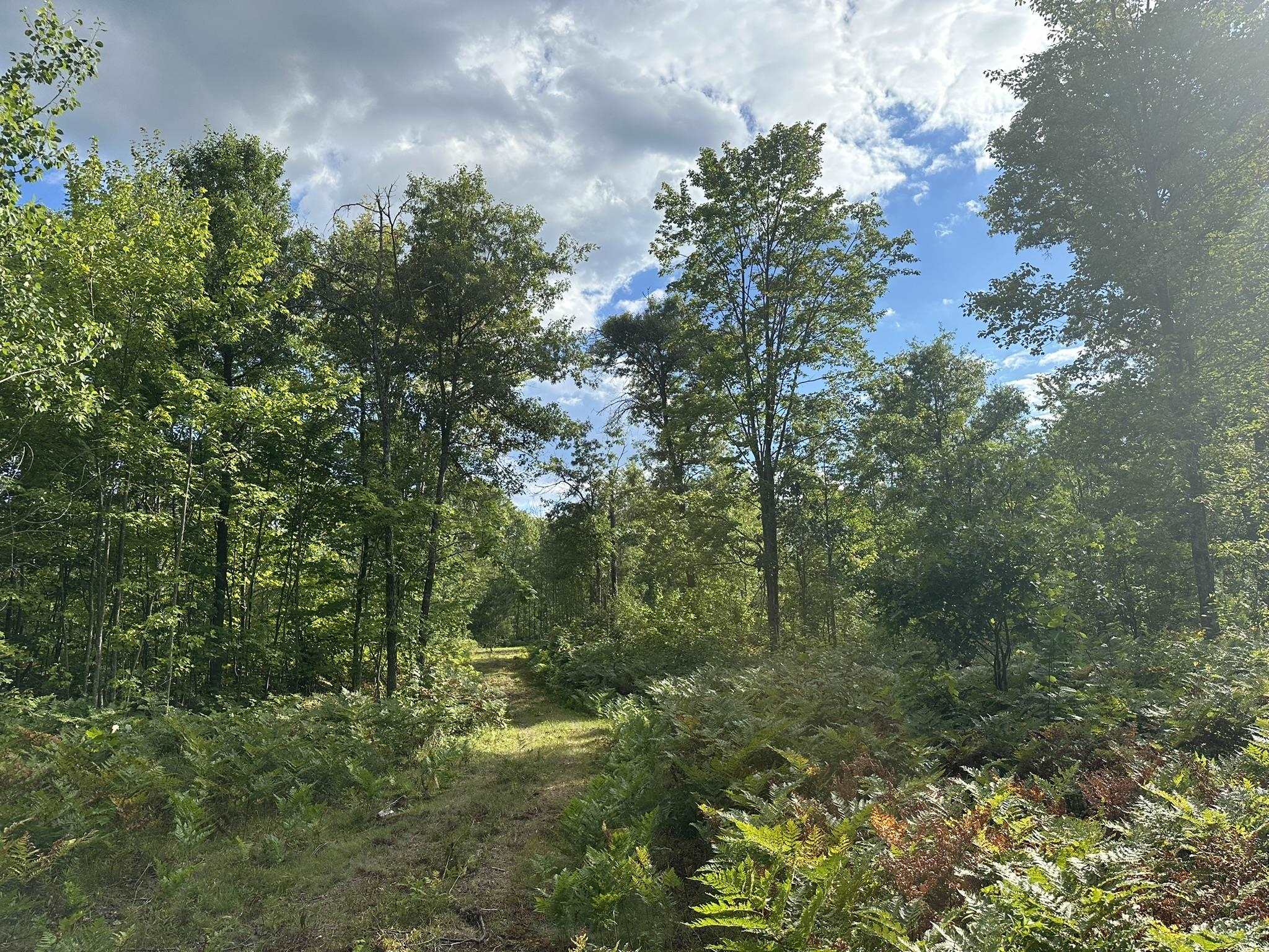 Homes for sale in Cadillac, MI | 5304 S Brown Rd, Cadillac, MI 49601 | MLS# 80061095