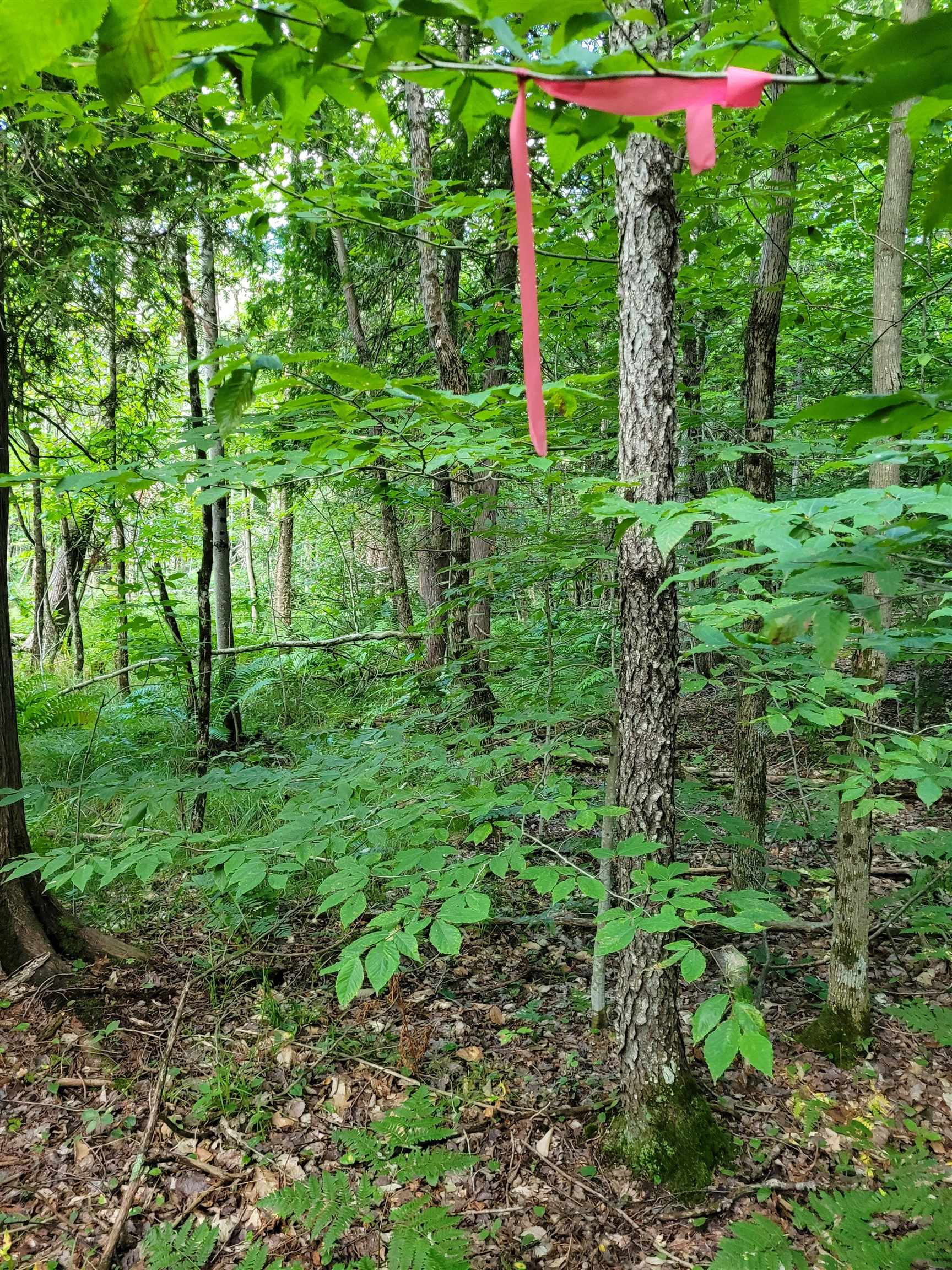 Homes for sale in Le Roy, MI | 00 Lakola Rd, Le Roy, MI 49655 | MLS# 80061142