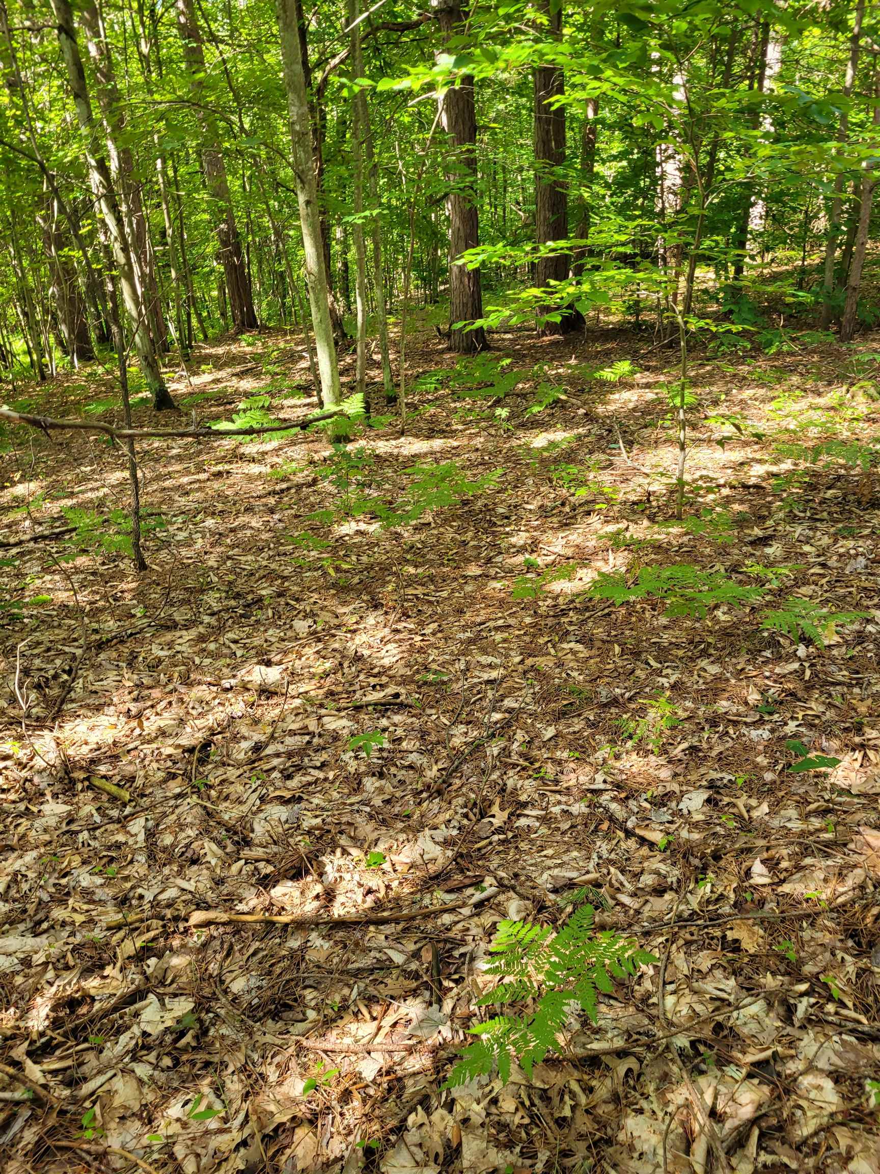 Homes for sale in Le Roy, MI | 00 Lakola Rd, Le Roy, MI 49655 | MLS# 80061142