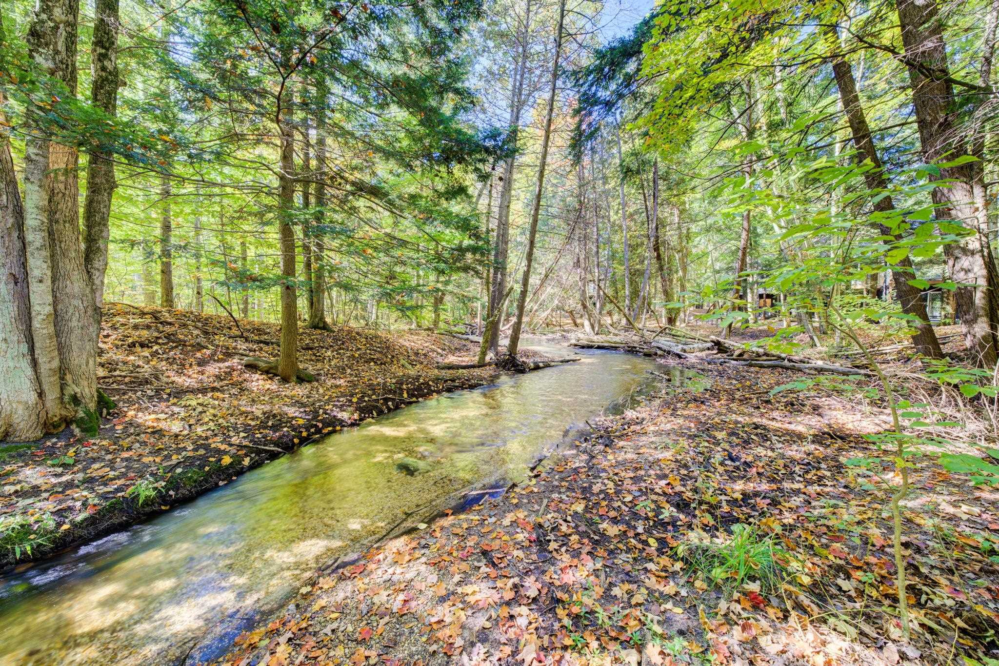 Homes for sale in Bellaire, MI | 6497 Deer Path #117, Bellaire, MI 49615 | MLS# 80061220