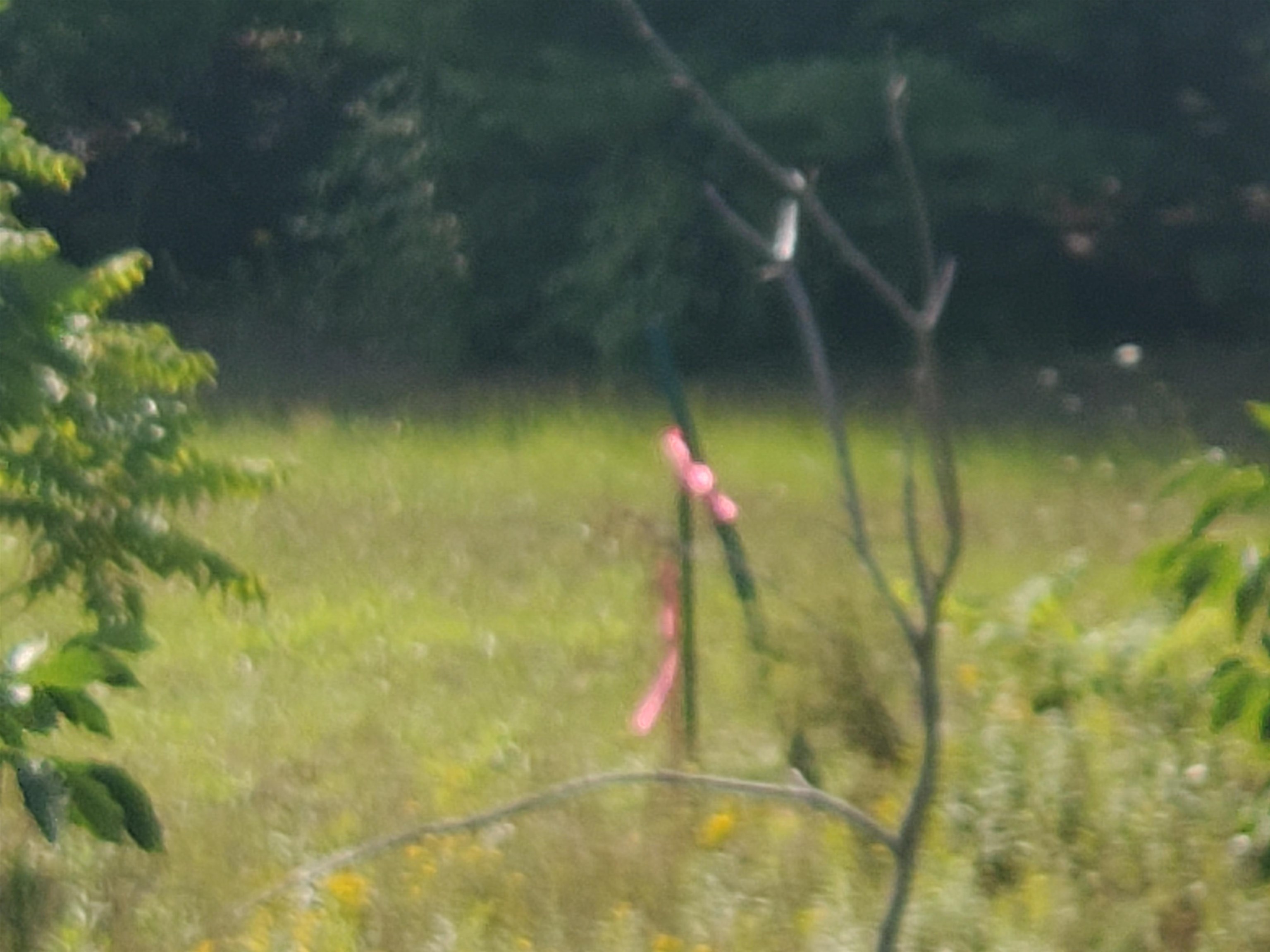 Homes for sale in Traverse City, MI | Vacant 226 A Sw Bayshore Dr, Traverse City, MI 49684 | MLS# 80061326