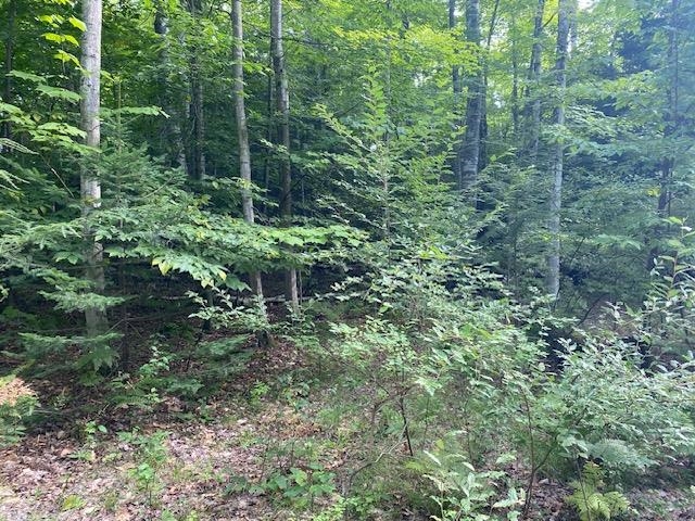 Homes for sale in Kewadin, MI | #2 Aspen Trl, Kewadin, MI 49648 | MLS# 80061399