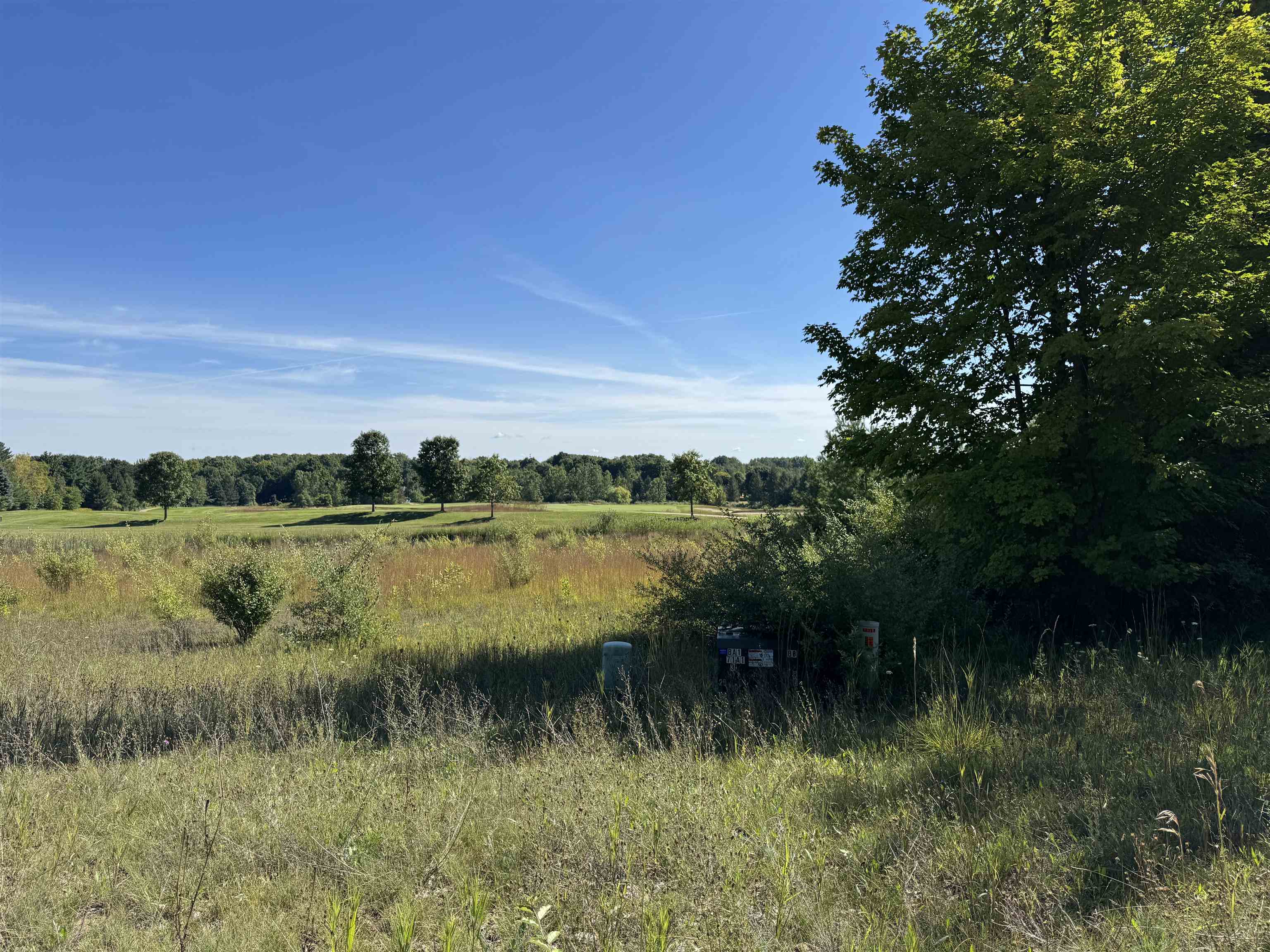 Homes for sale in Williamsburg, MI | 4843 Prestwick Ct, Williamsburg, MI 49690 | MLS# 80061416