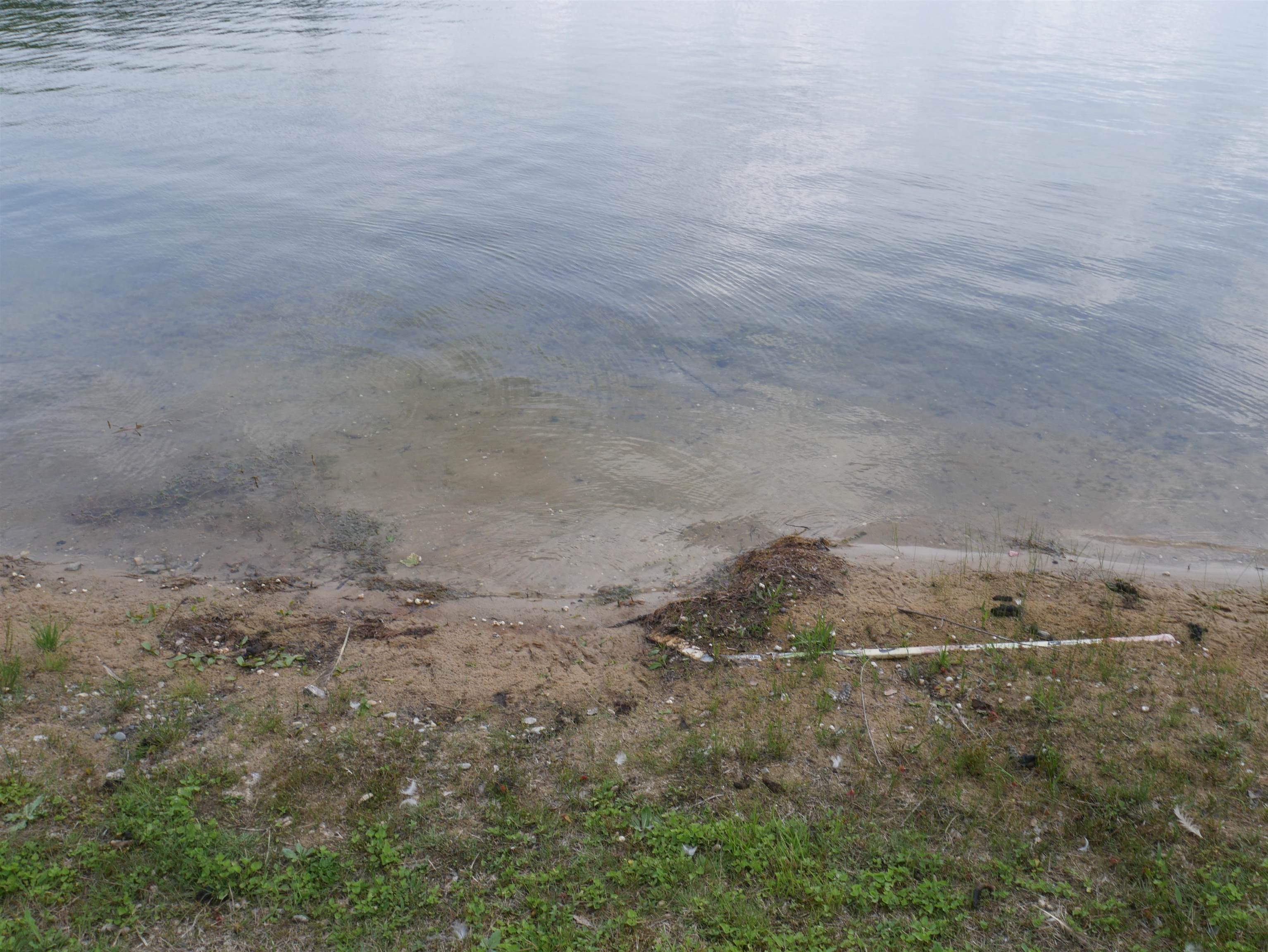 Homes for sale in South Branch, MI | 7796 Jose Lake Trl, South Branch, MI 48761 | MLS# 80061422