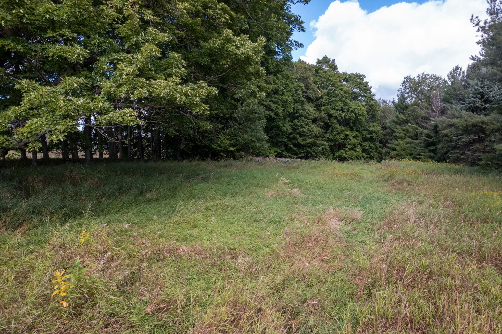 Homes for sale in Lake Ann, MI | Lot #9 Kadi Ln, Lake Ann, MI 49650 | MLS# 80061483