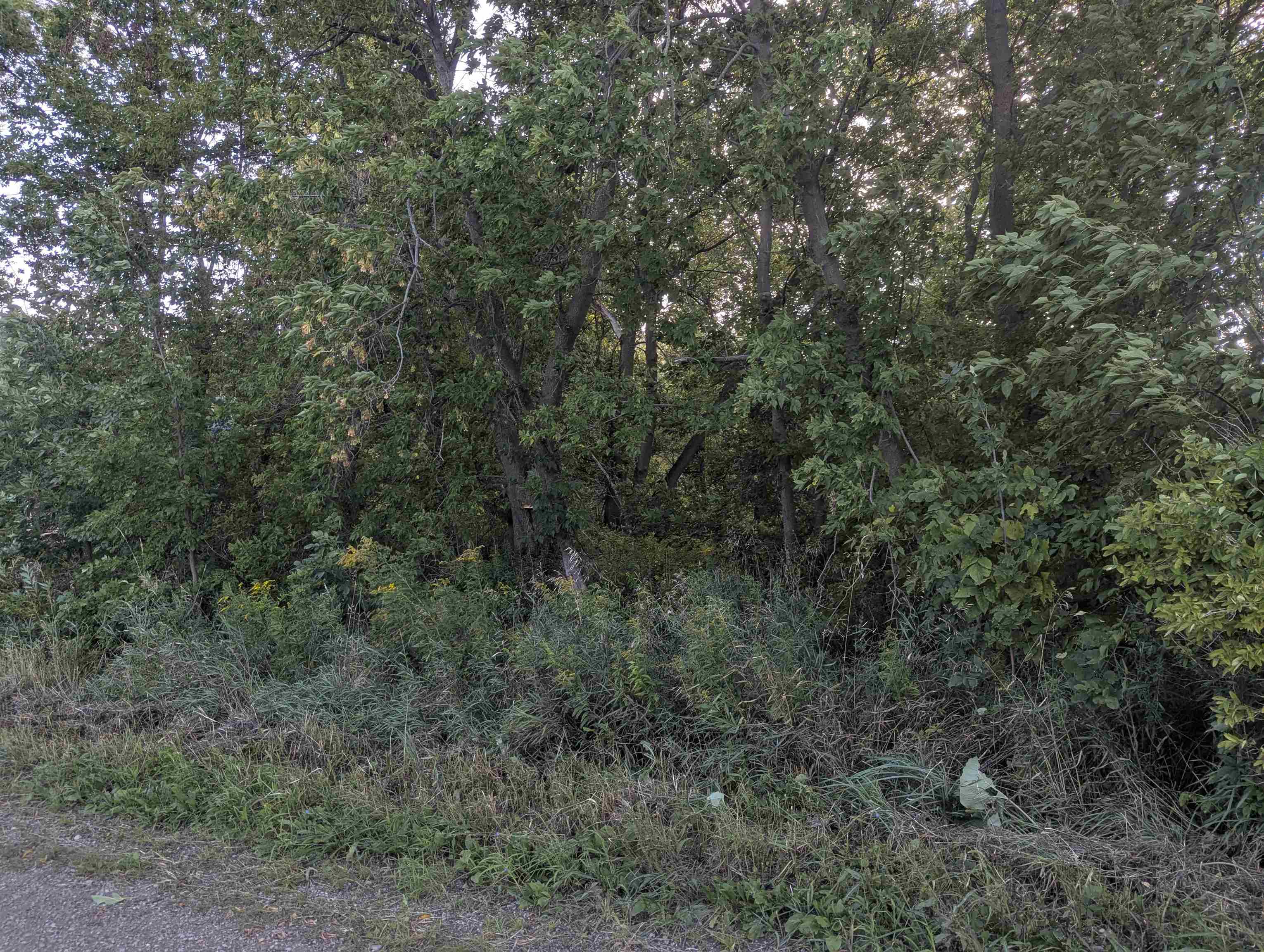 Homes for sale in Tawas City, MI | N/a Andrews Rd, Tawas City, MI 48763 | MLS# 80061687