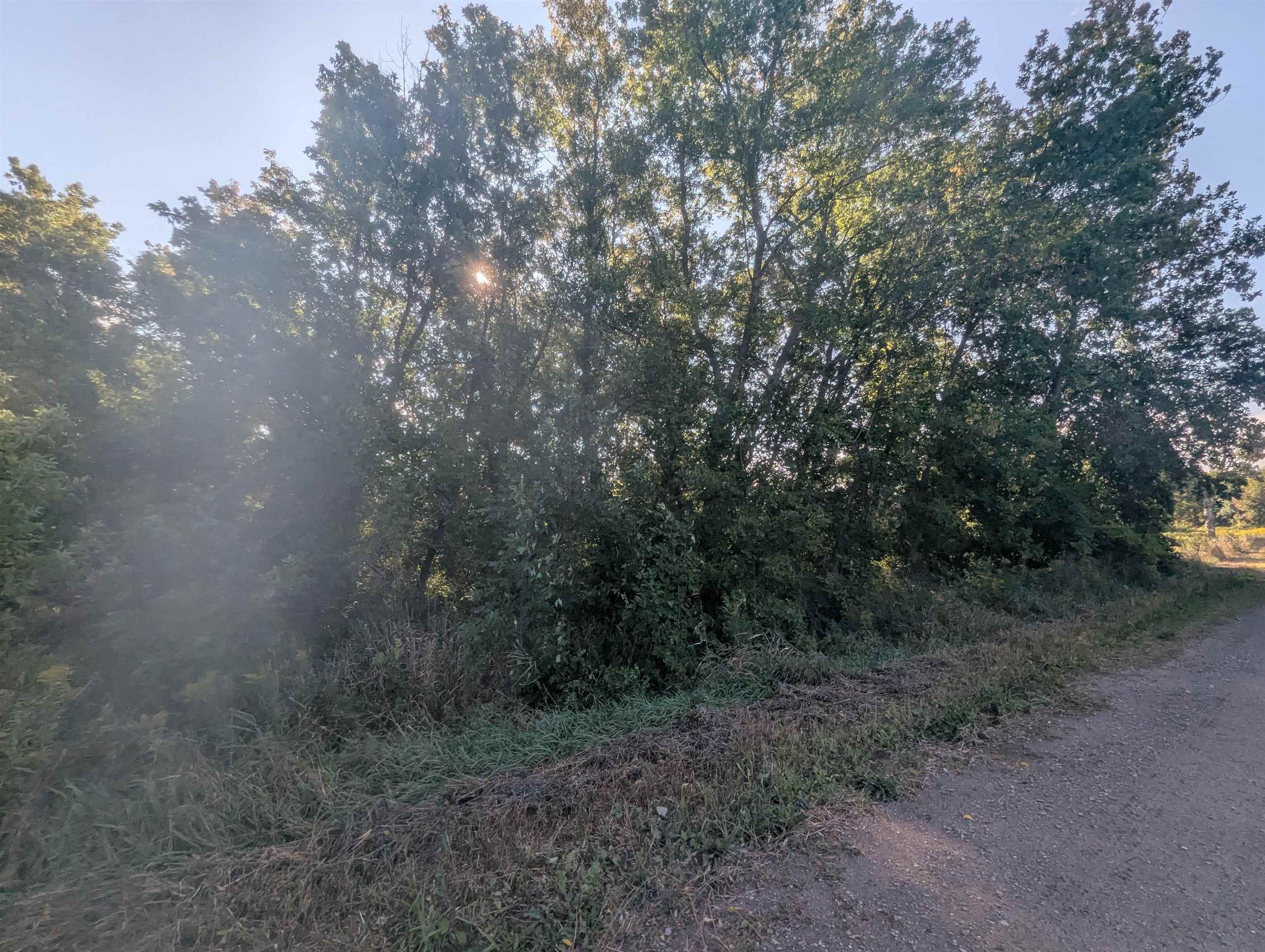 Homes for sale in Tawas City, MI | N/A Andrews Rd, Tawas City, MI 48763 | MLS# 80061687