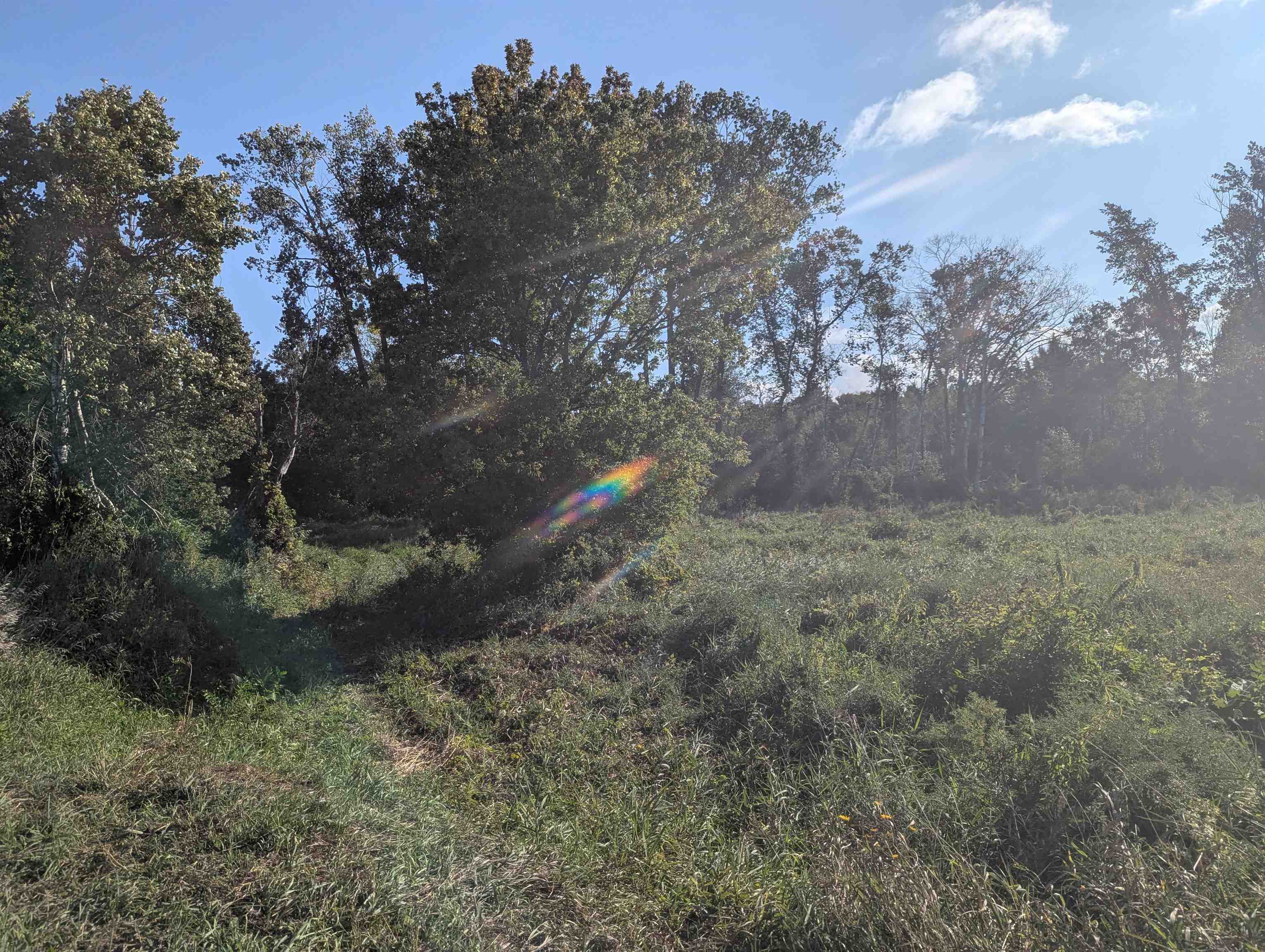 Homes for sale in Tawas City, MI | N/A Andrews Rd, Tawas City, MI 48763 | MLS# 80061687