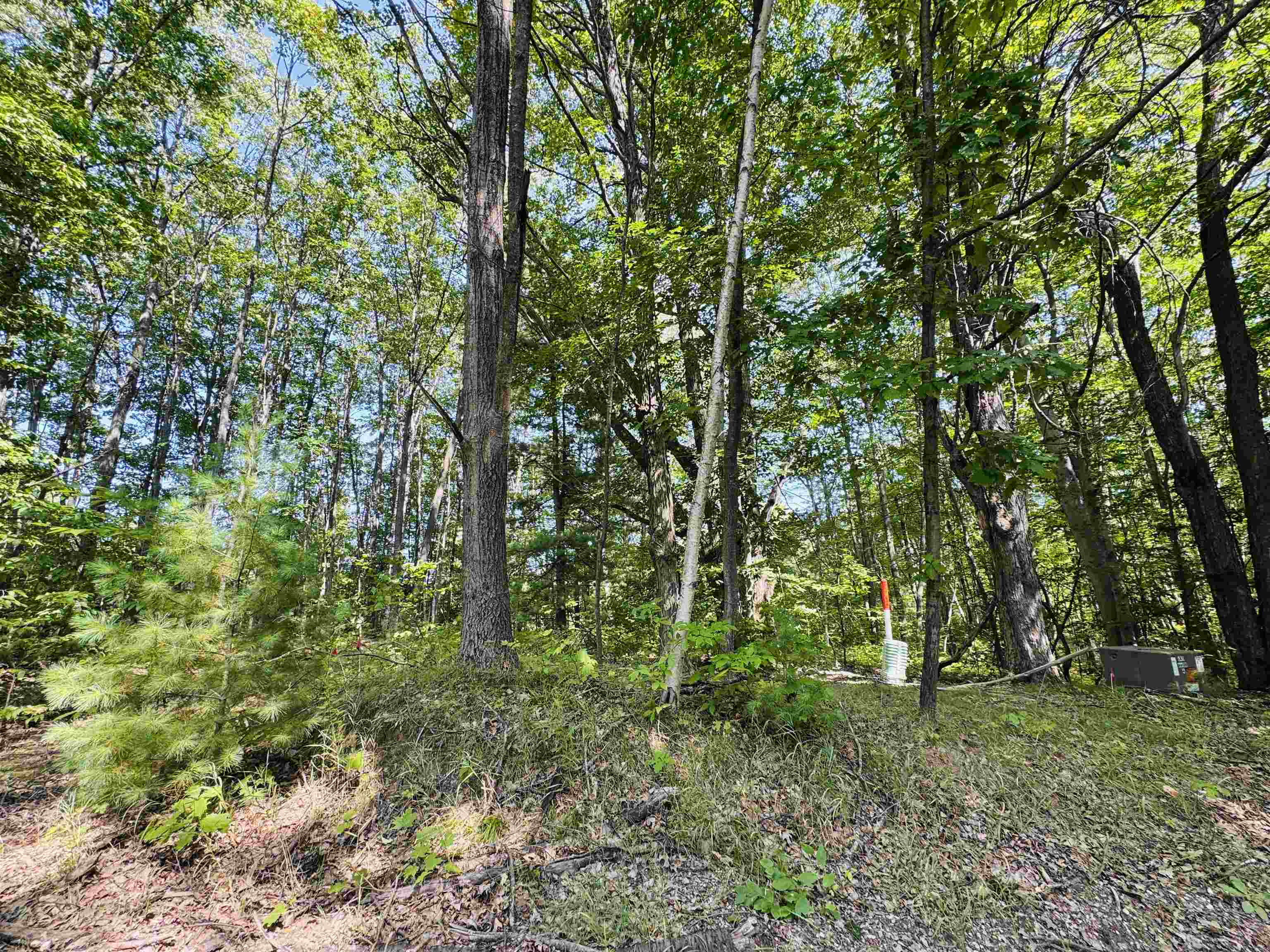 Homes for sale in Le Roy, MI | Lots 79 & 80 Fence Row Cir, Le Roy, MI 49655 | MLS# 80061705