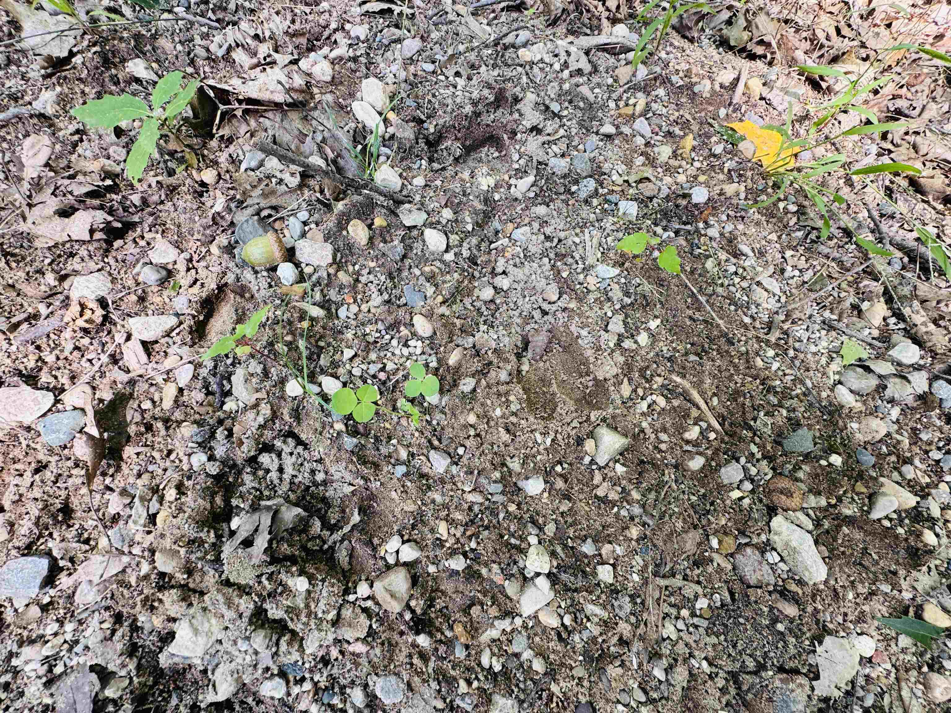 Homes for sale in Le Roy, MI | Lots 79 & 80 Fence Row Cir, Le Roy, MI 49655 | MLS# 80061705