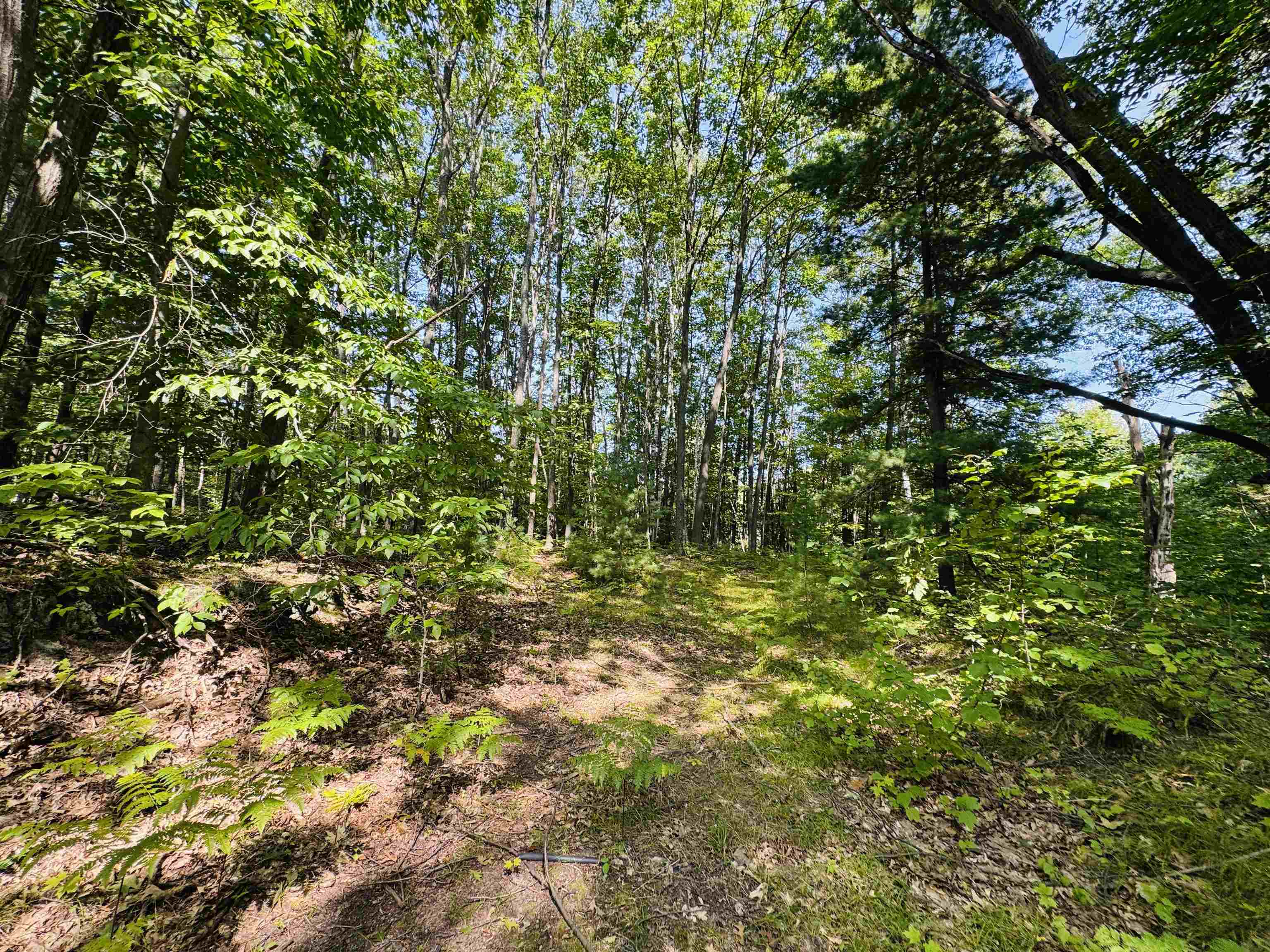 Homes for sale in Le Roy, MI | Lots 79 & 80 Fence Row Cir, Le Roy, MI 49655 | MLS# 80061705