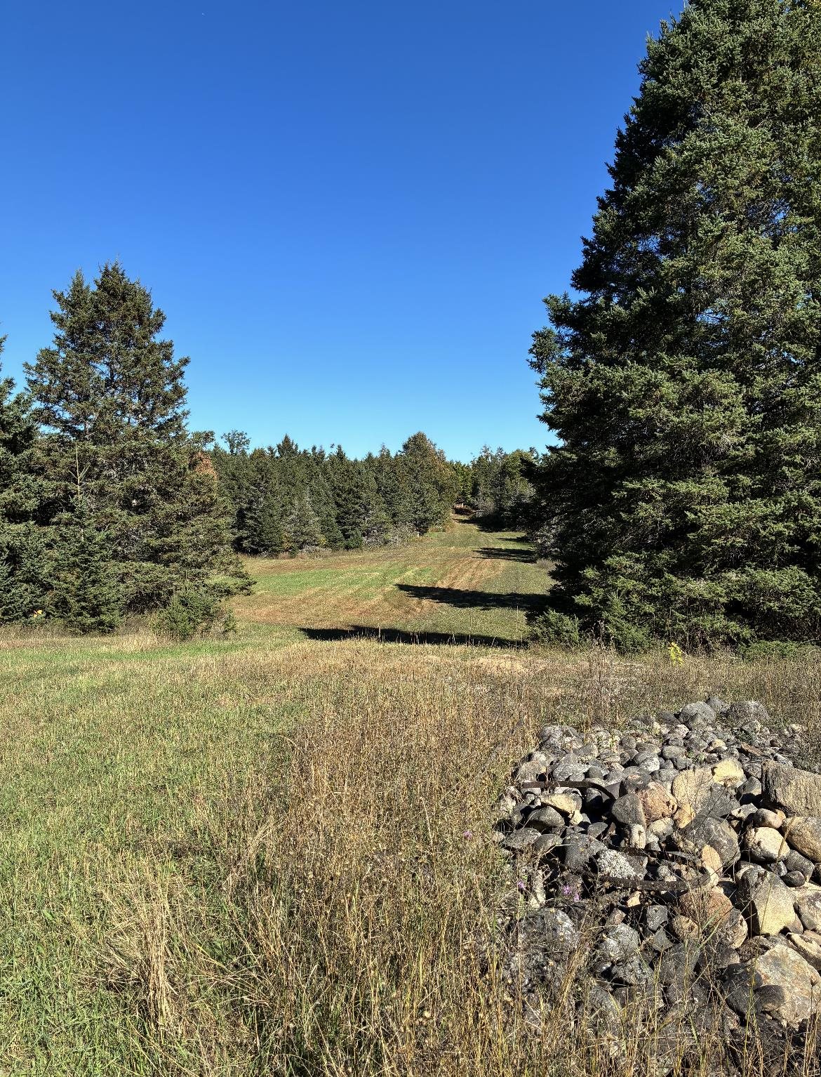 Homes for sale in Fife Lake, MI | 0 Henschell Rd, Fife Lake, MI 49633 | MLS# 80061780