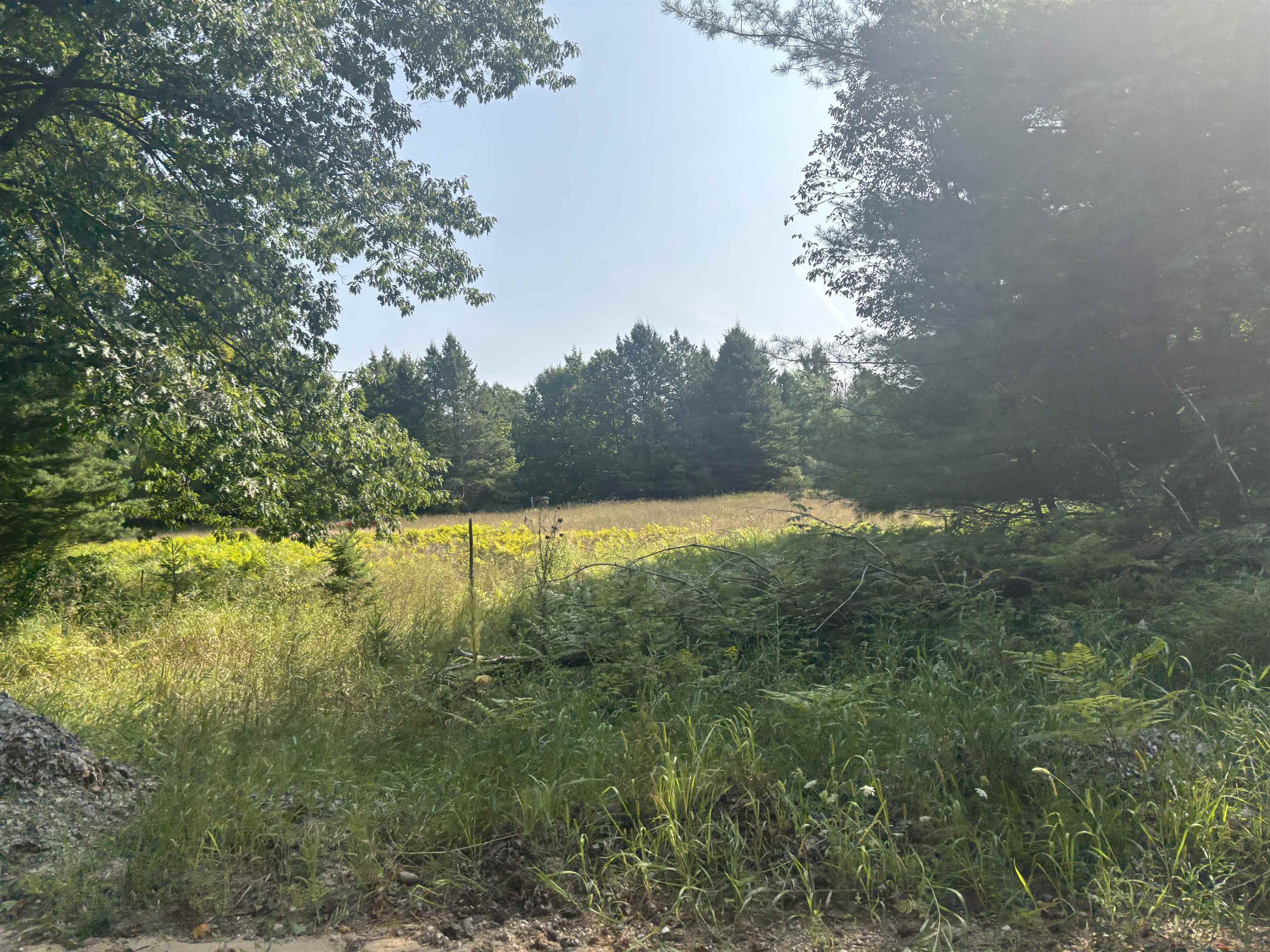 Homes for sale in Fife Lake, MI | 0 Henschell Rd, Fife Lake, MI 49633 | MLS# 80061780