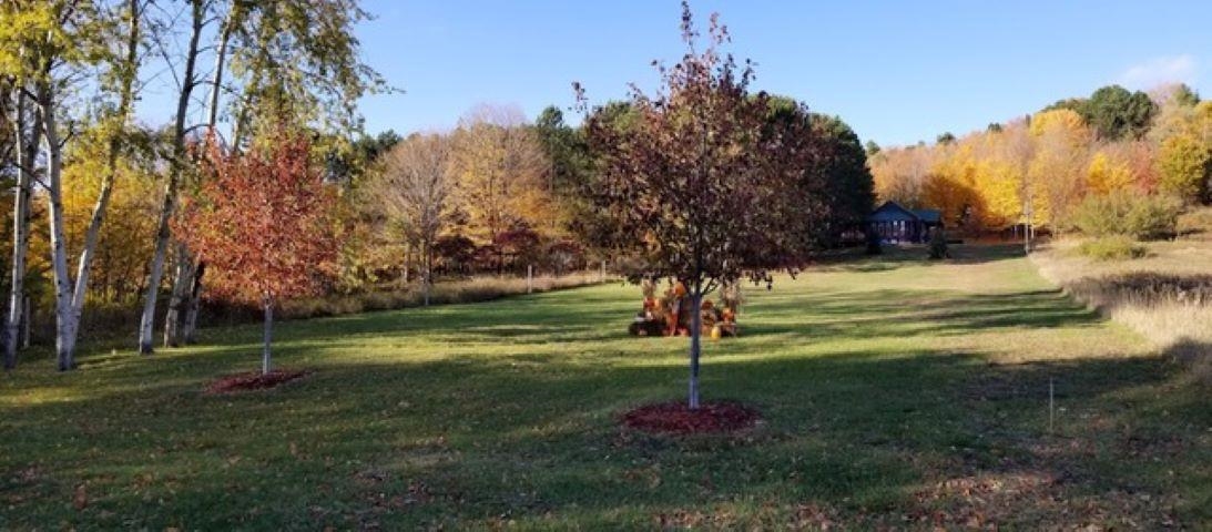 Homes for sale in Frankfort, MI | 0 Elm St, Frankfort, MI 49635 | MLS# 80061854