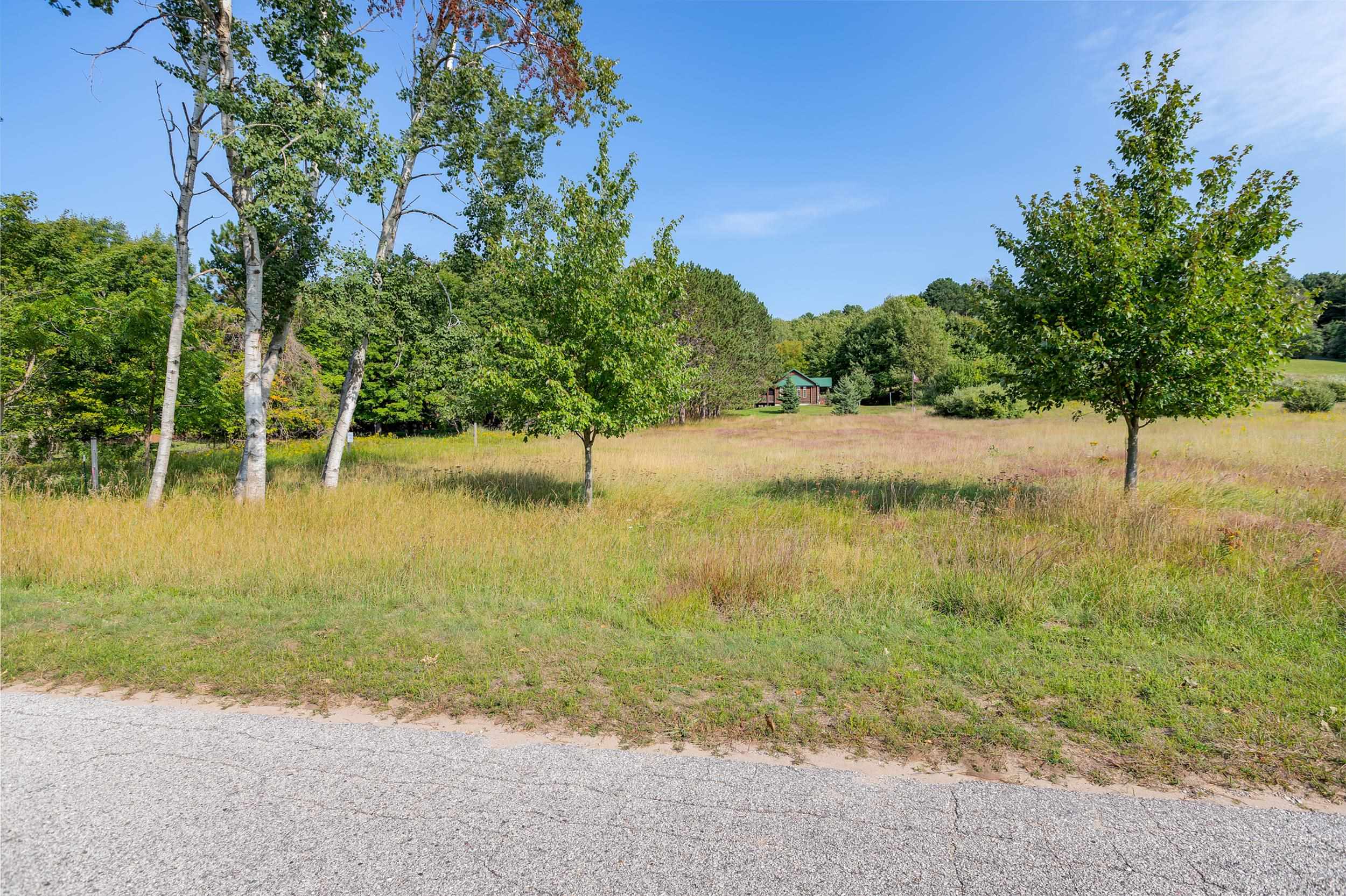 Homes for sale in Frankfort, MI | 0 Elm St, Frankfort, MI 49635 | MLS# 80061854