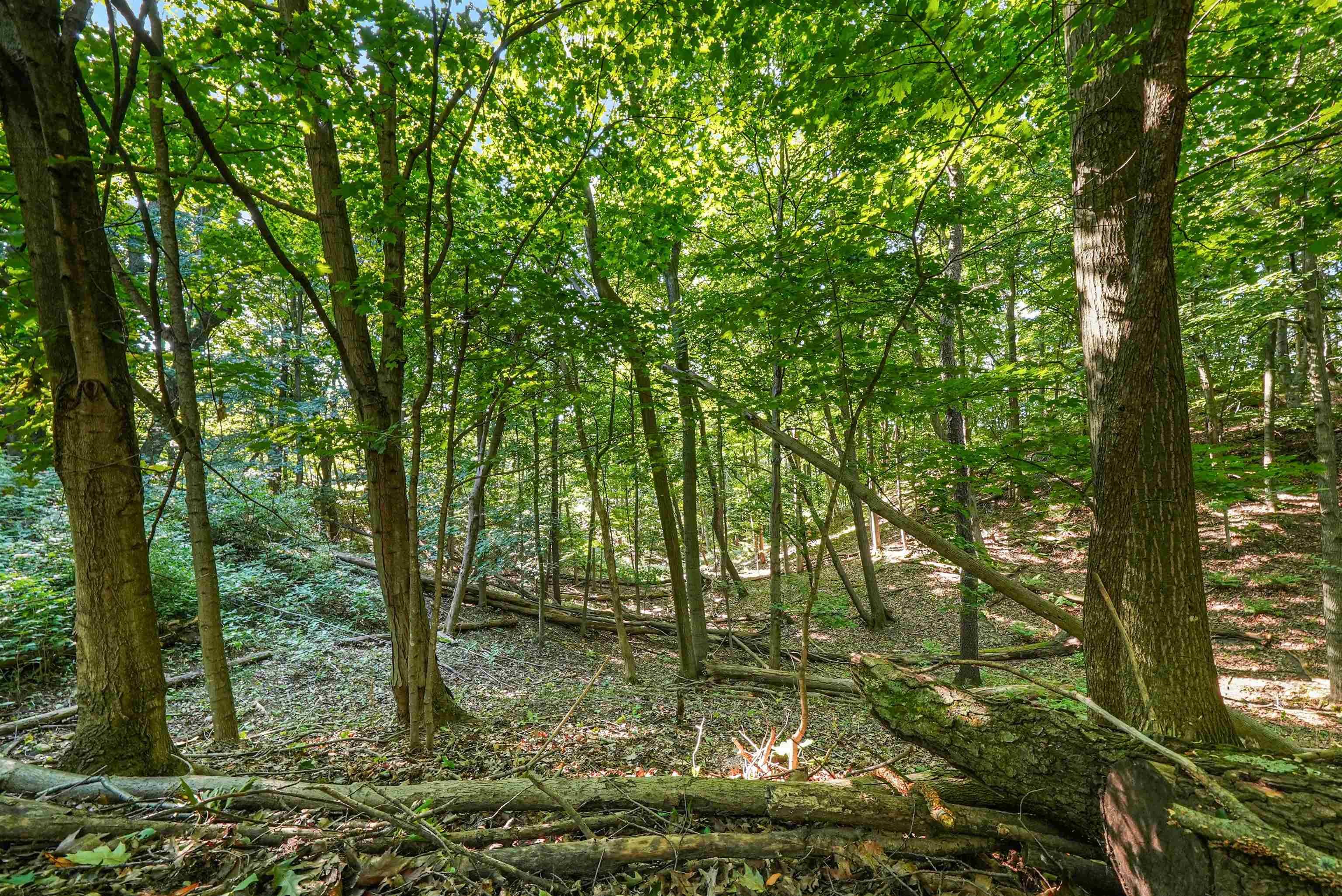 Homes for sale in Frankfort, MI | 00-3 Carlson Rd, Frankfort, MI 49635 | MLS# 80061972