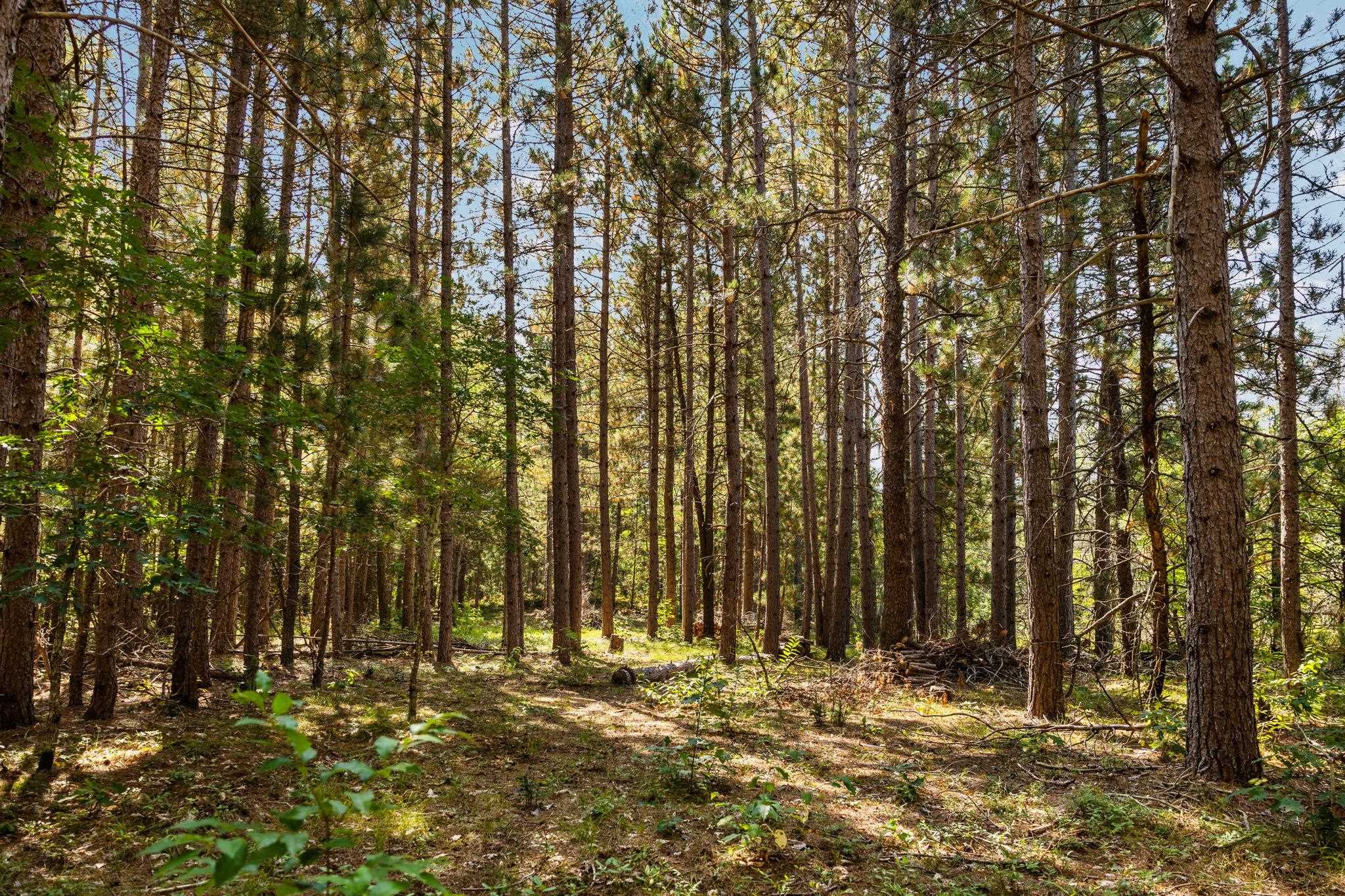 Homes for sale in Grayling, MI | 794 M 72 E, Grayling, MI 49738 | MLS# 80062097